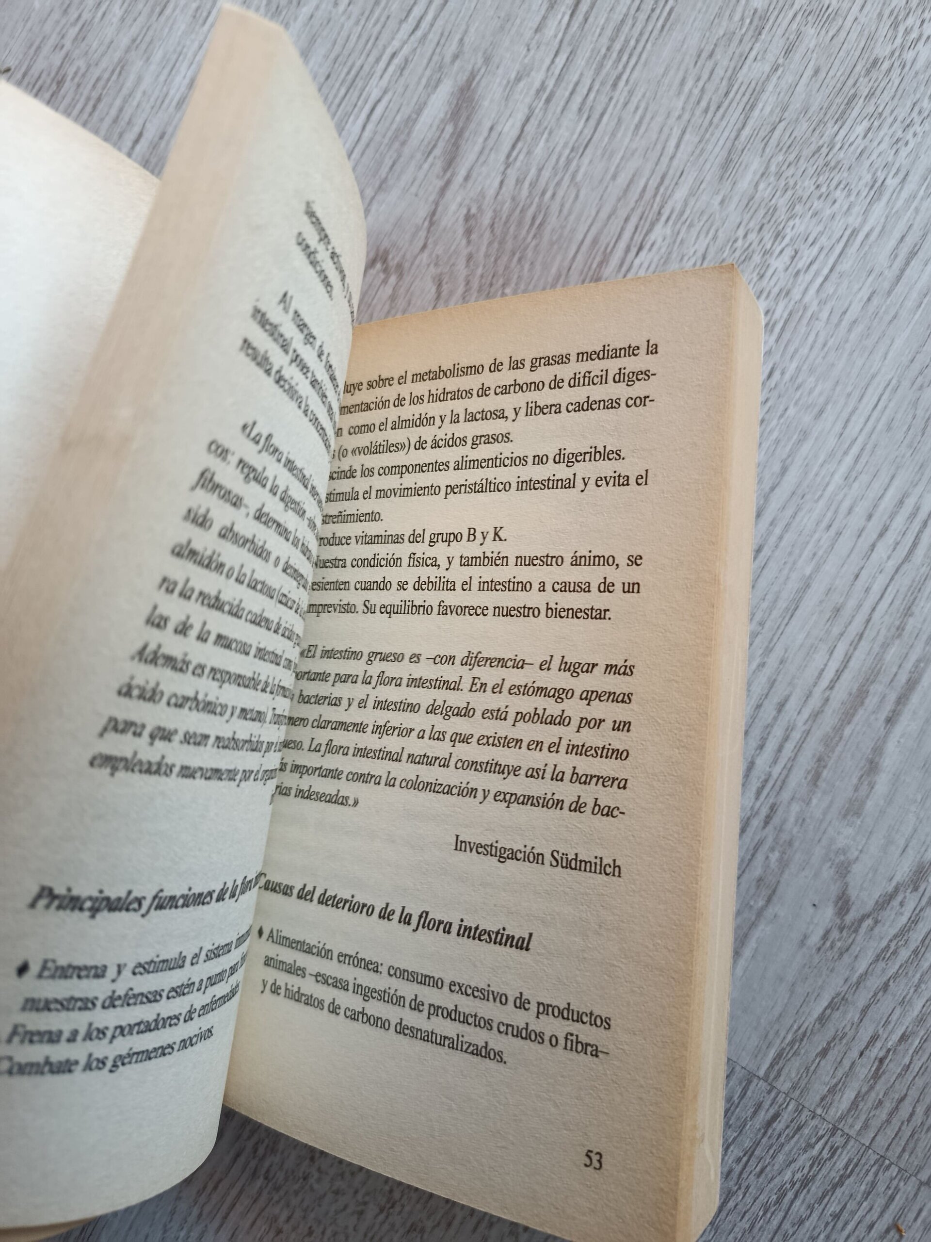 El Poder Curativo del Yogur - 5