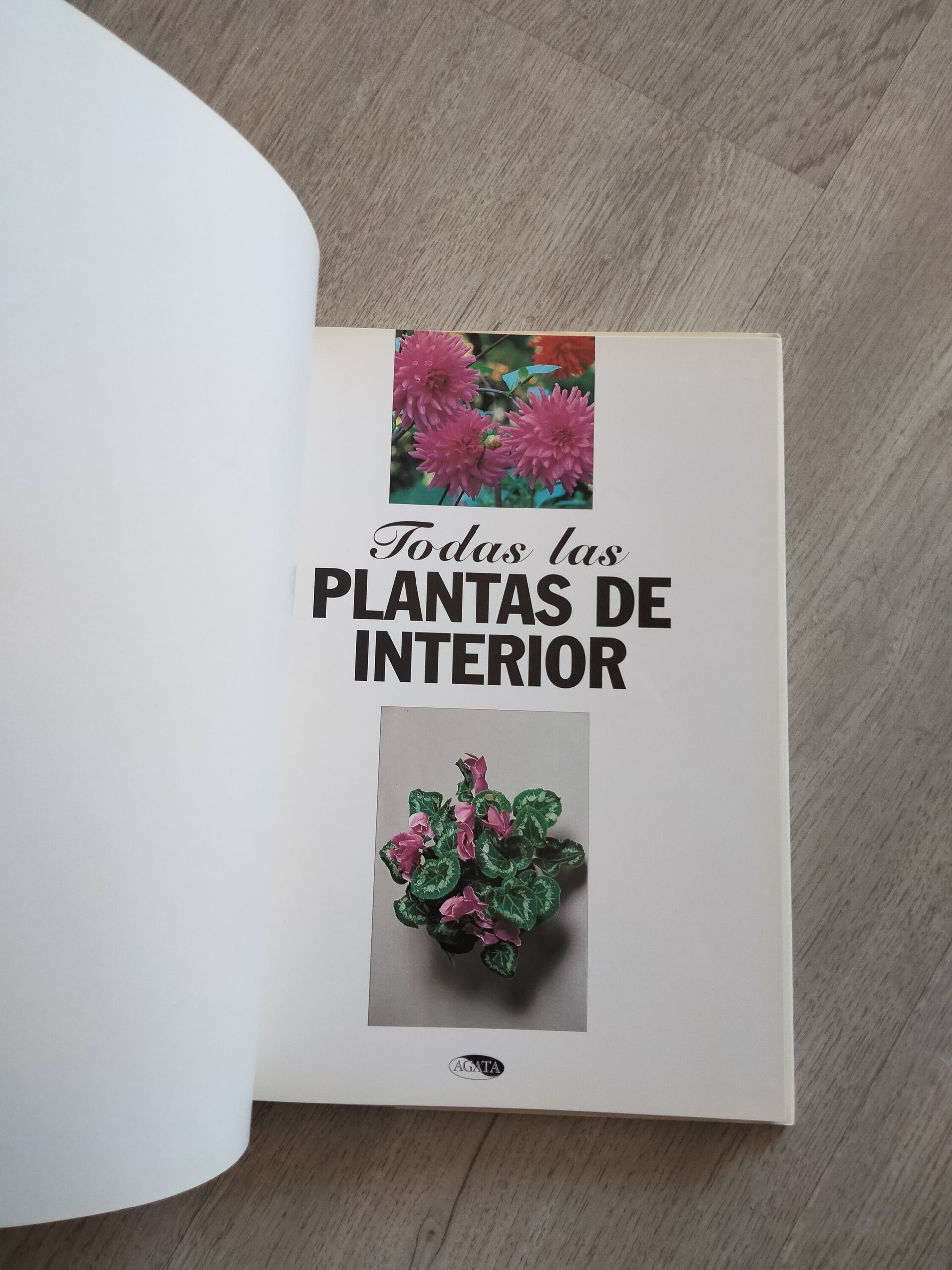 Todas las plantas de interior - libro - 6