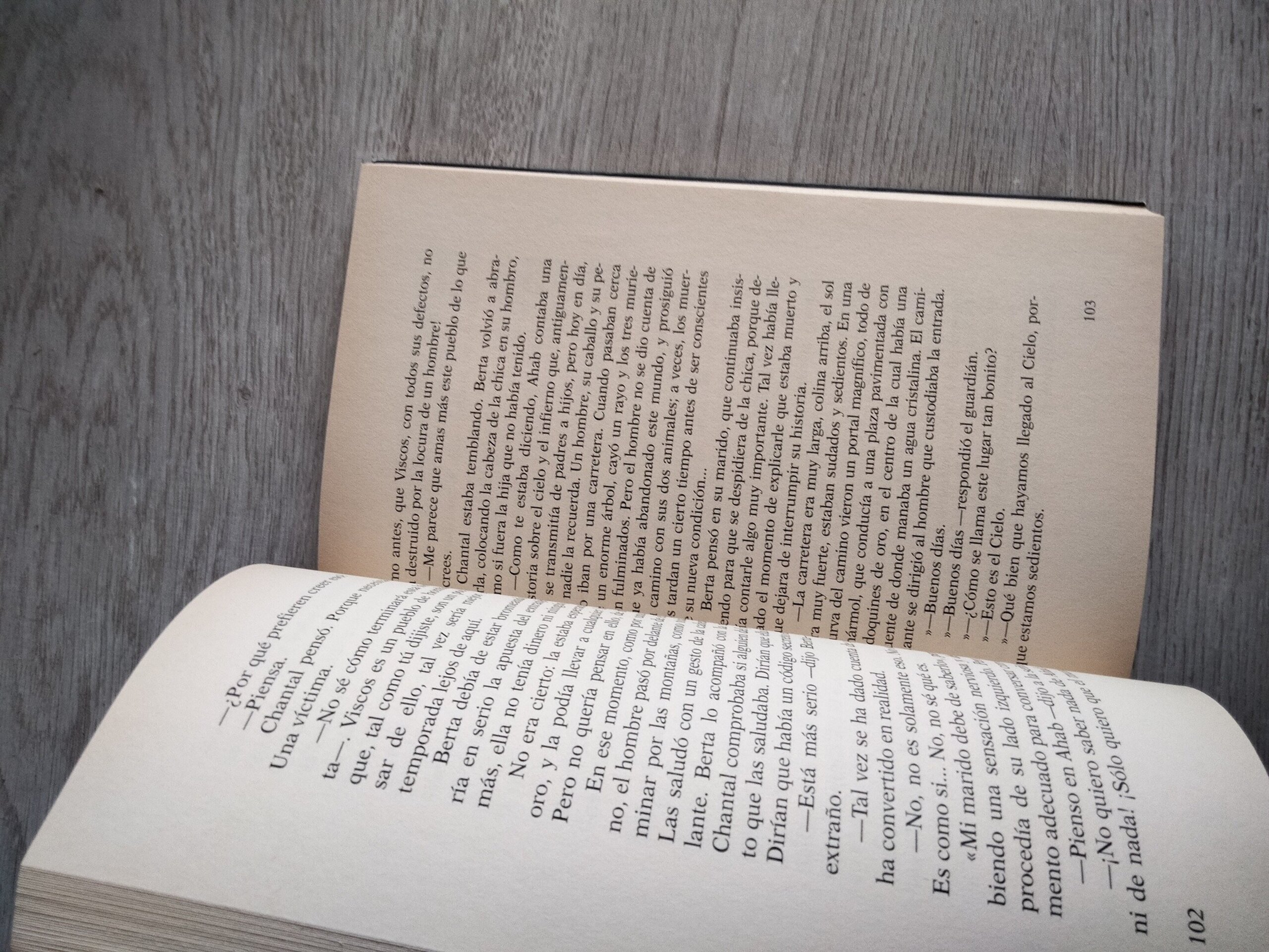 El demonio y la señorita Prym / autor: Paulo Coelho - 5