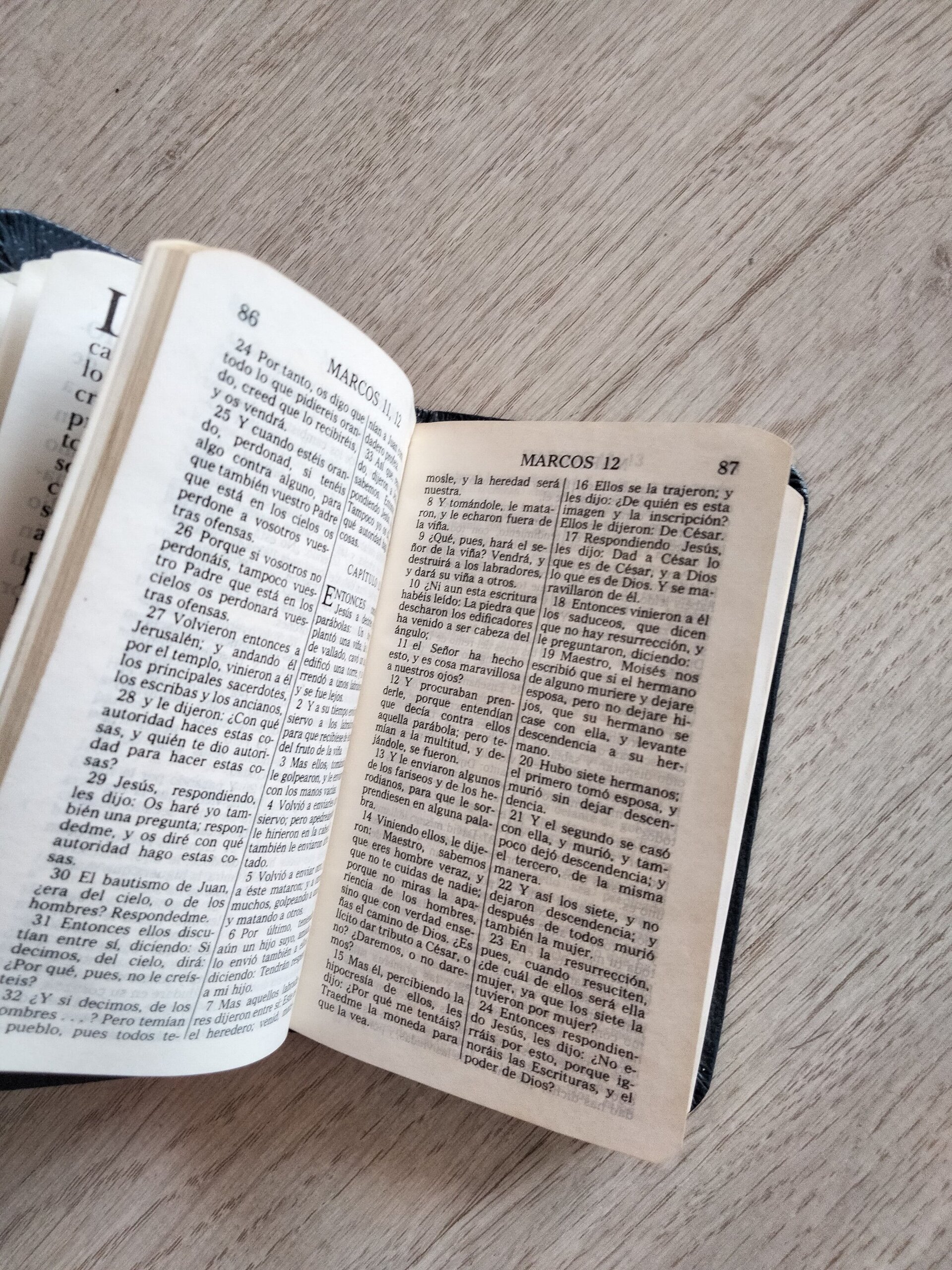 Nuevo Testamento y Salmos y Proverbios - 3