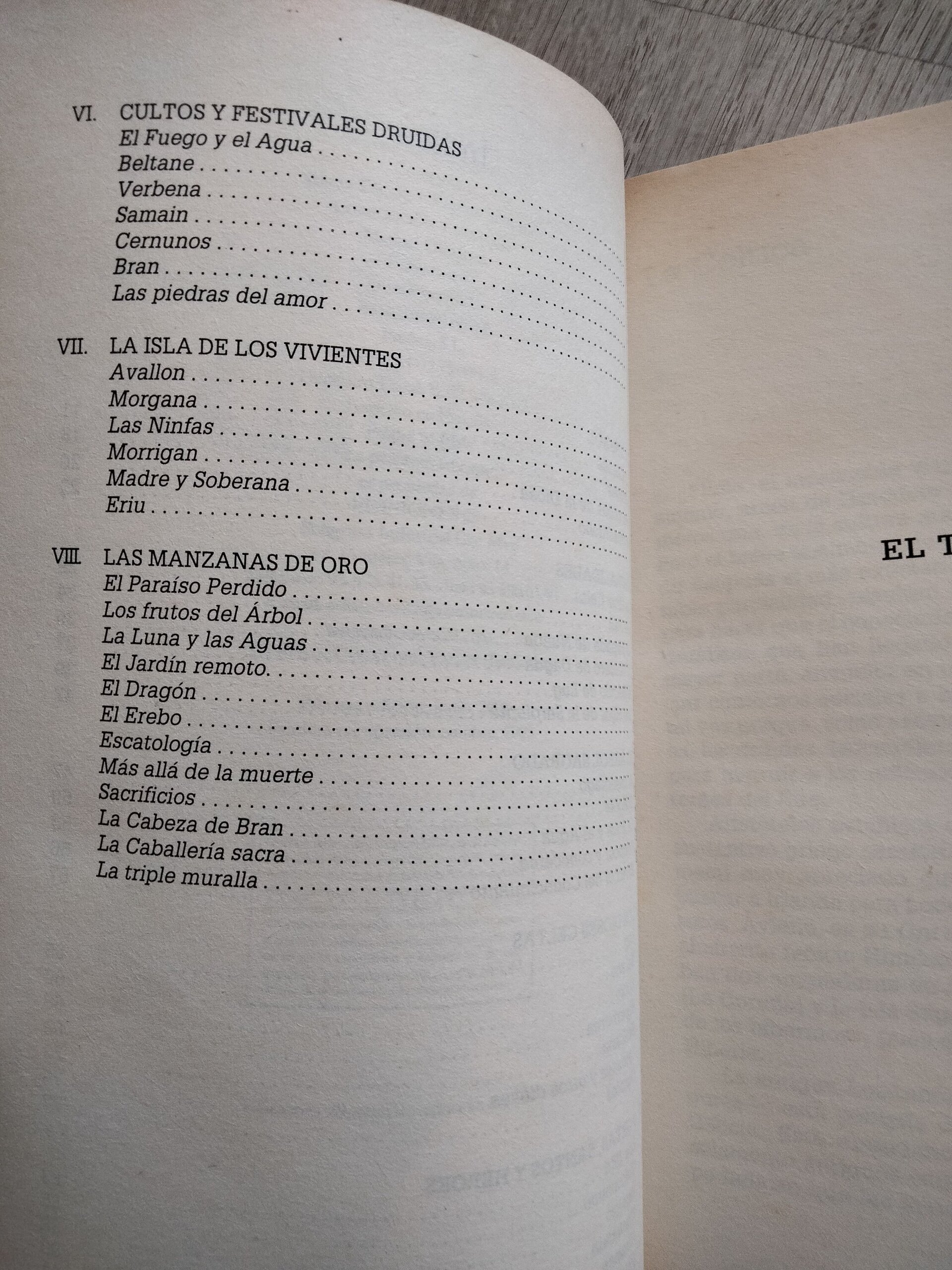 La verdad sobre los druidas - 6