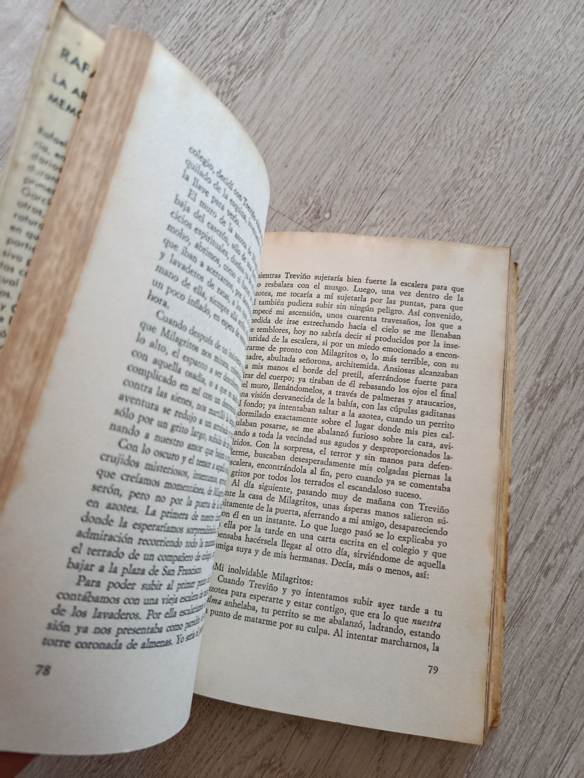 Rafael Alberti - La arboleda perdida Memorias - 7