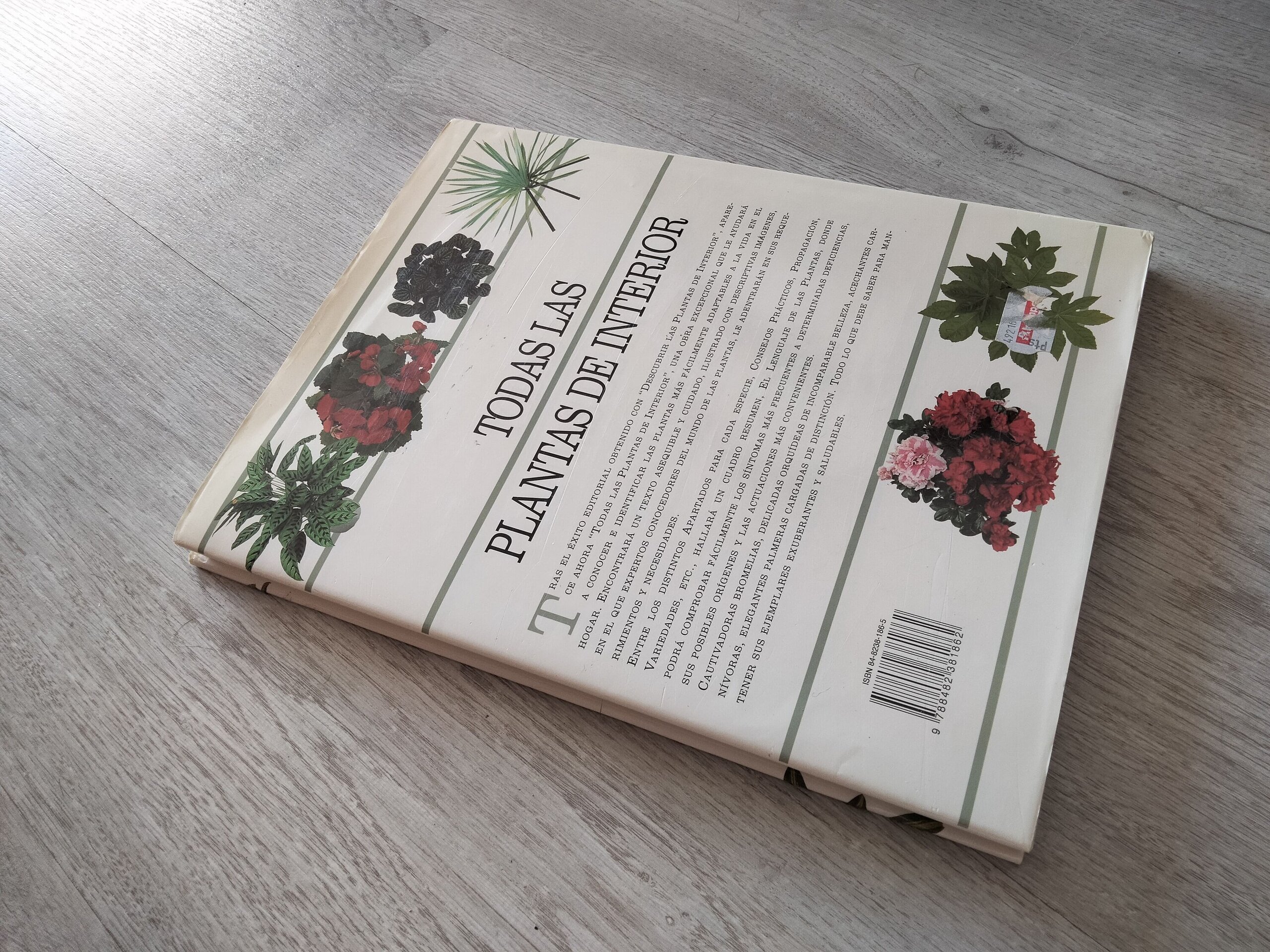 Todas las plantas de interior - libro - 5