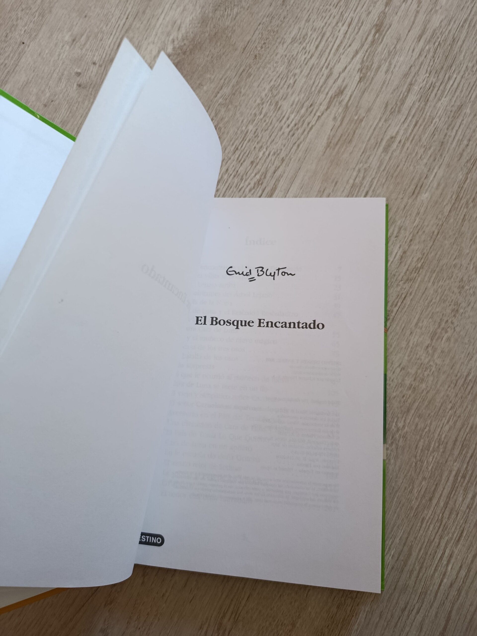 Enid Blyton  - El bosque encantado - 5