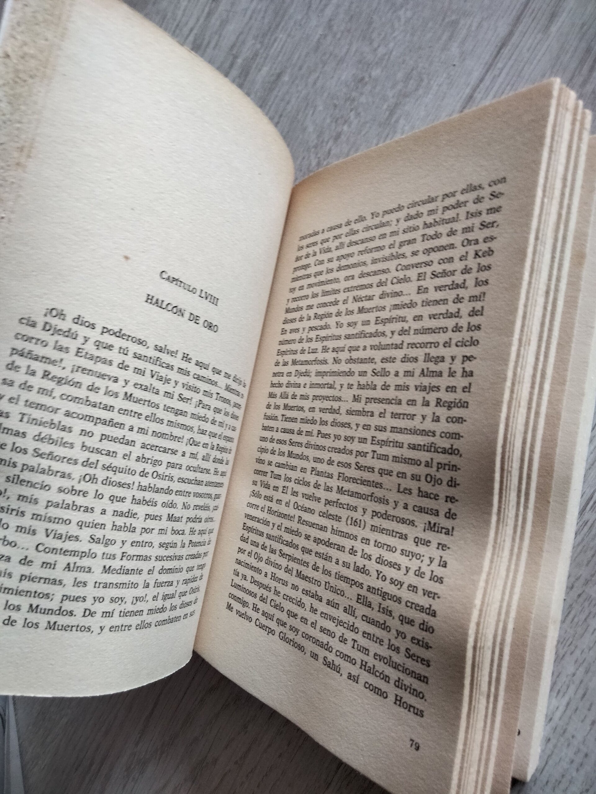 El libro de los muertos - 6