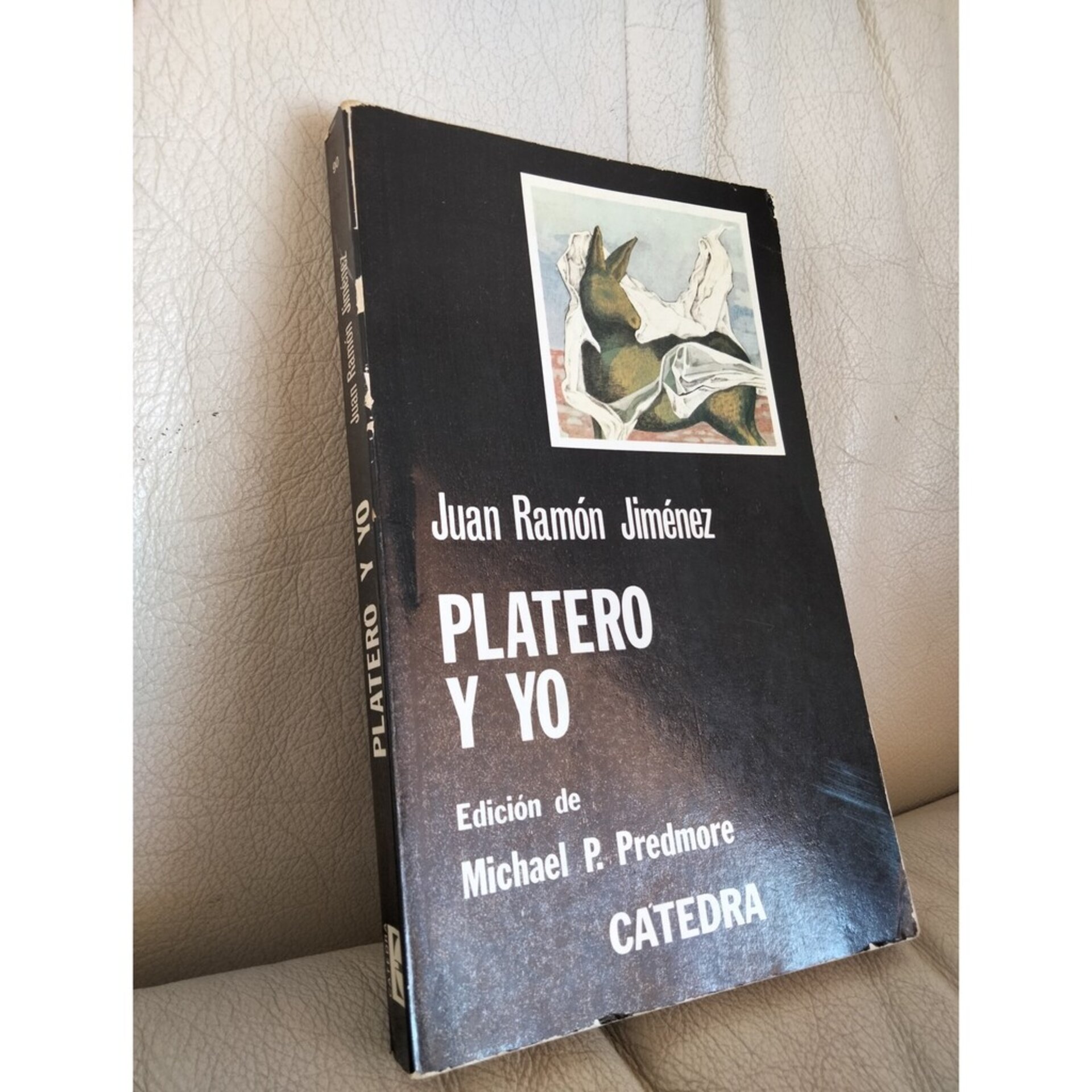 Platero y Yo - 2