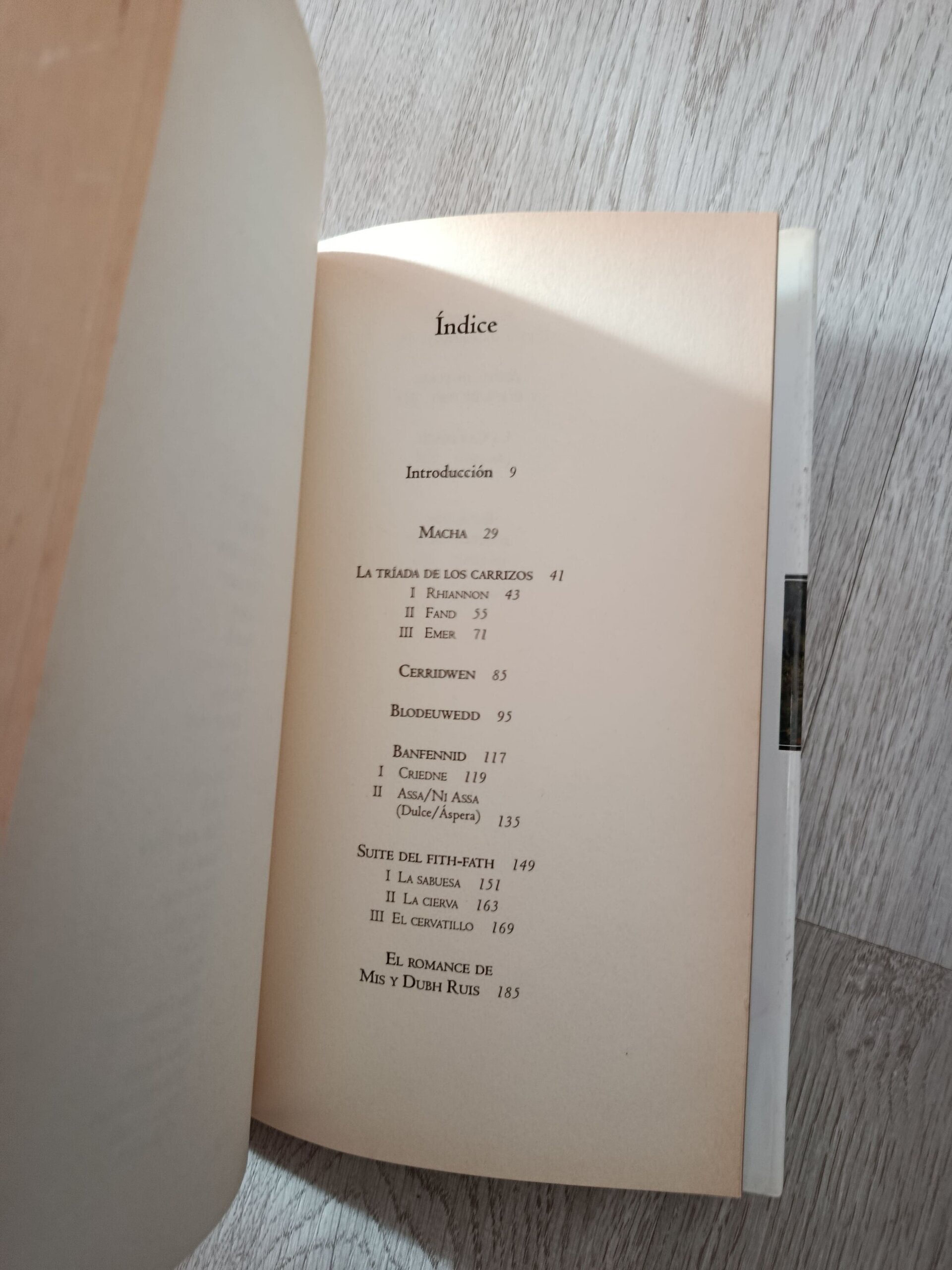 Diosas y Hadas - La magia de las mujeres celtas - libro - 8