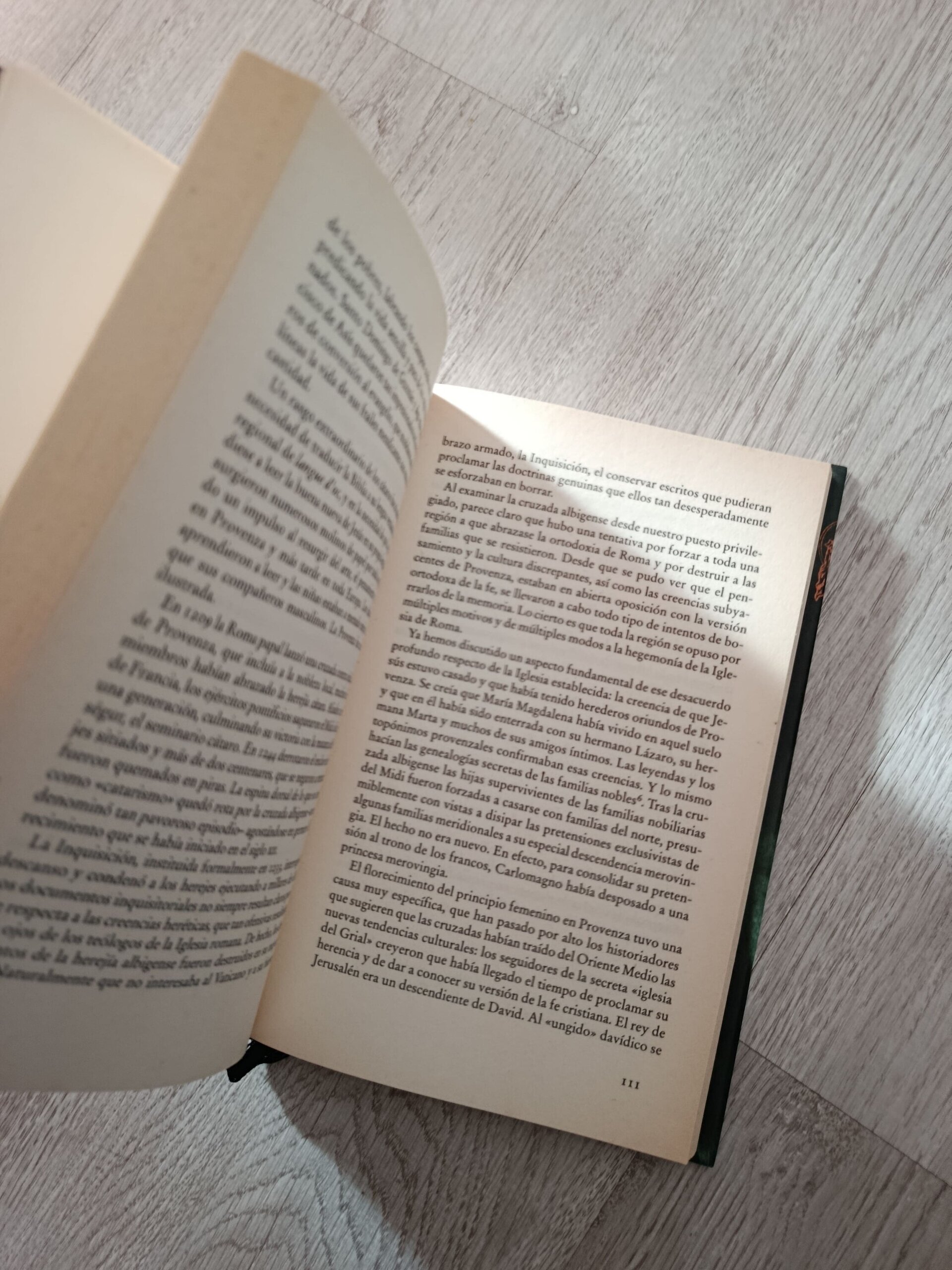 María Magdalena y El Santo Grial - libro - 10