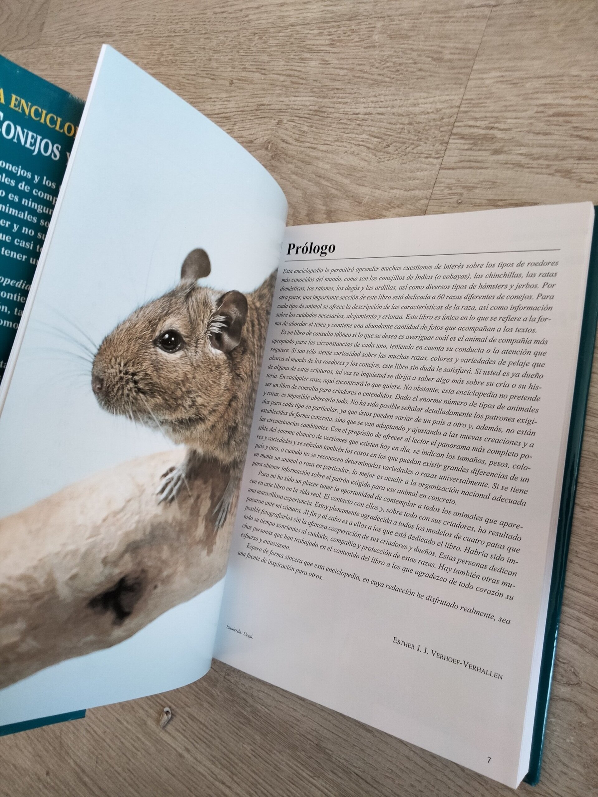 La enciclopedia de los conejos y roedores - 7