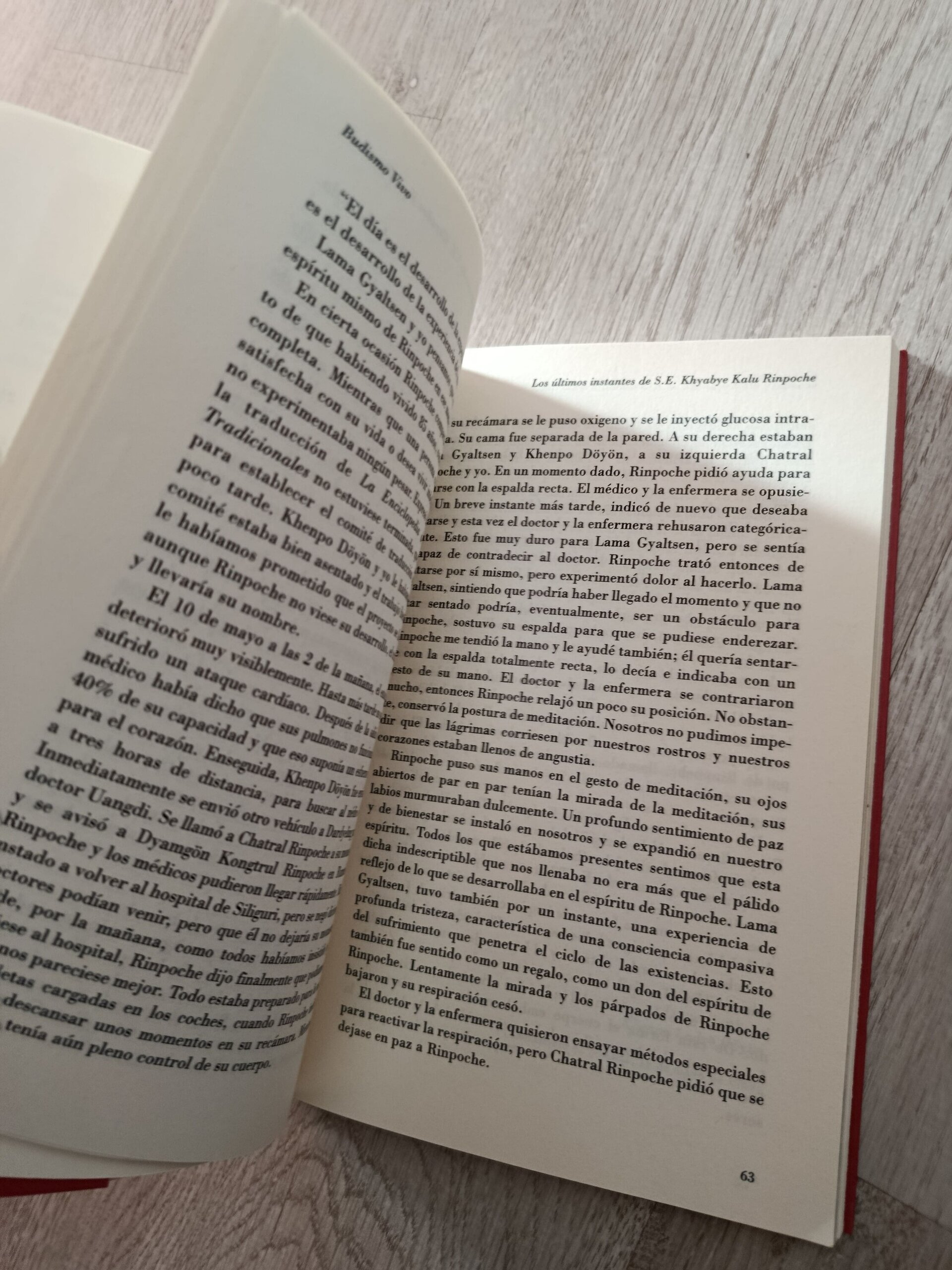 Budismo vivo-Tradición tibetana-libro - 8