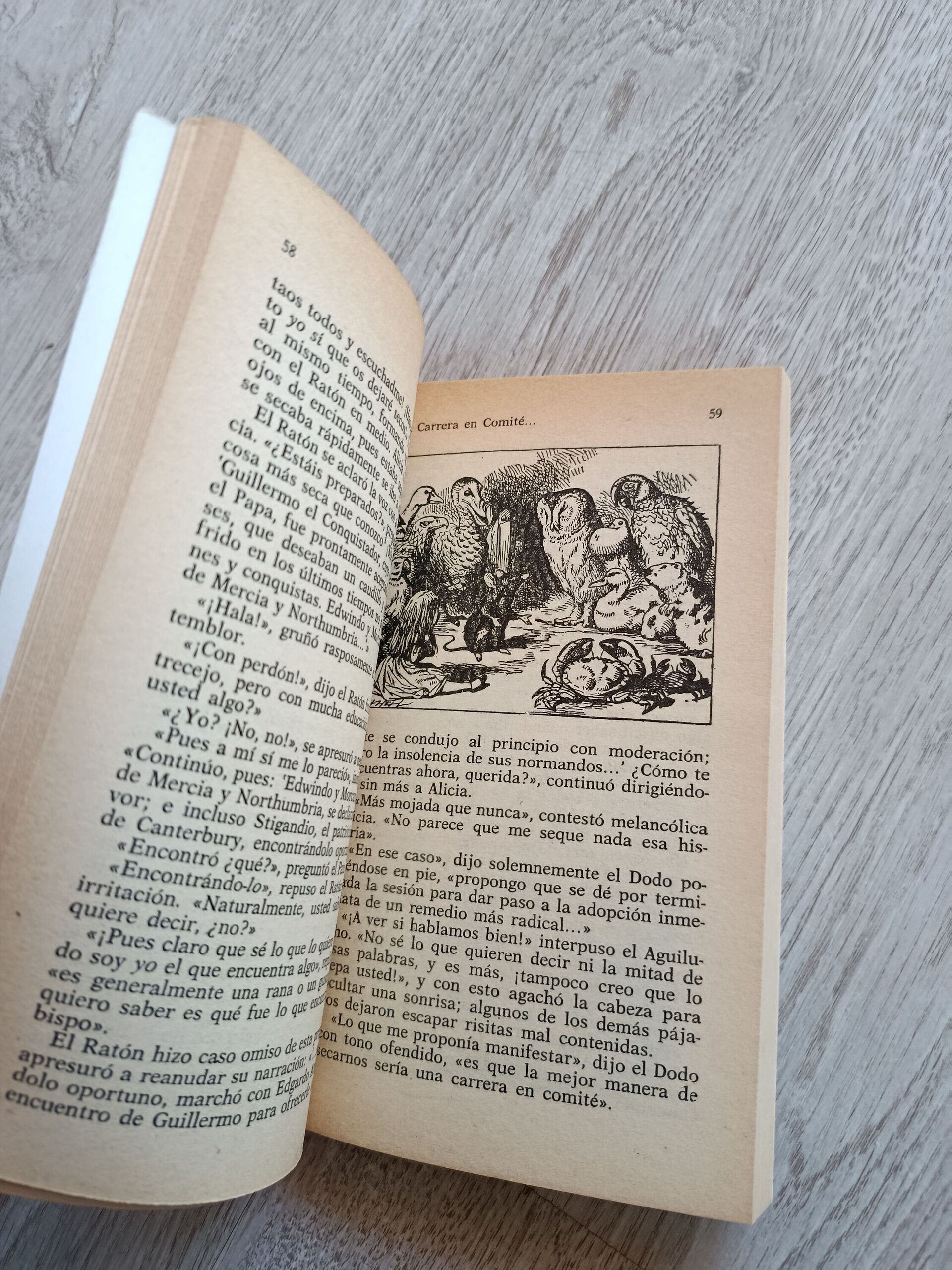 Alicia en el País de las Maravillas - 4