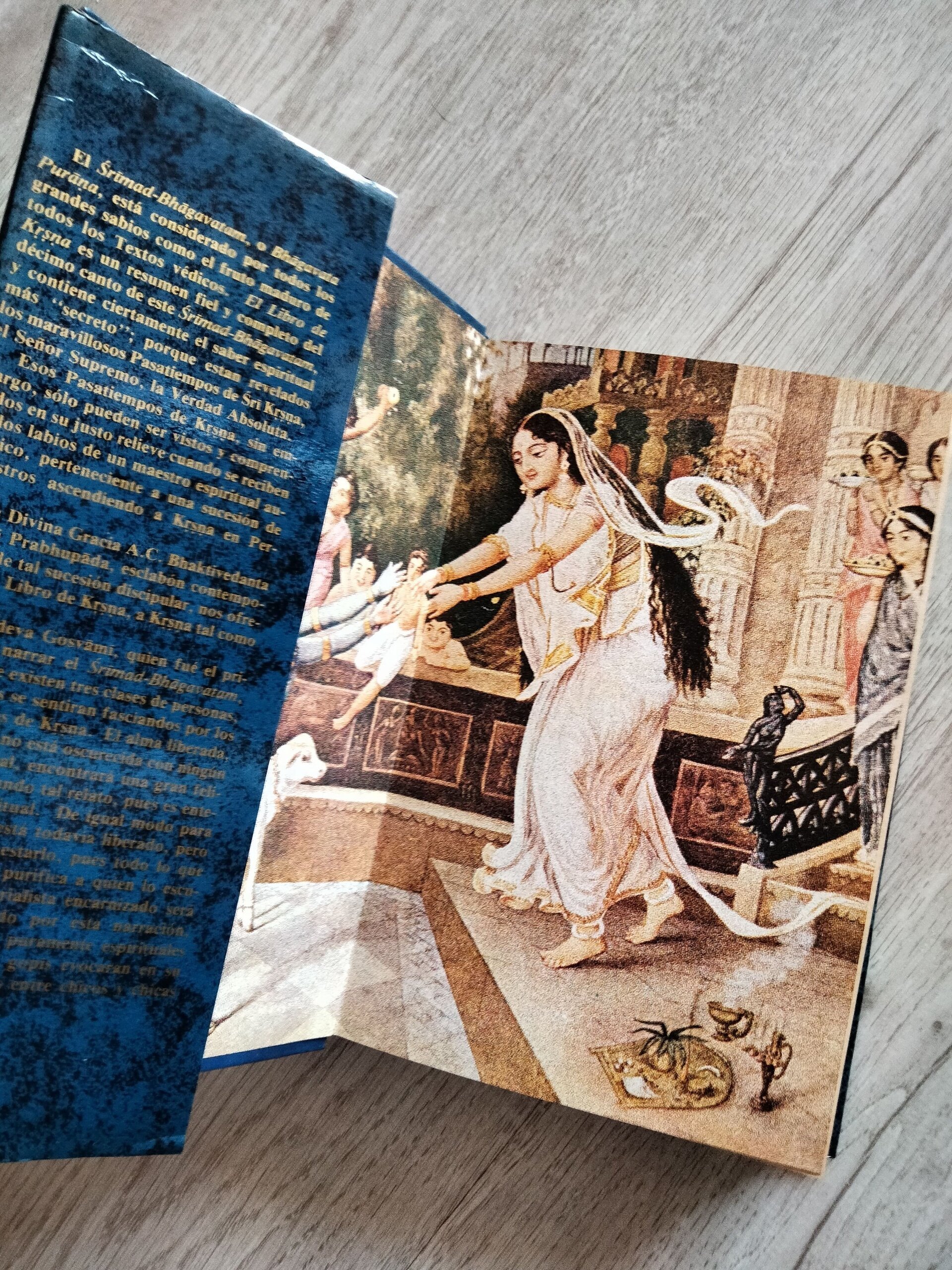 El Libro de Krsna - 6