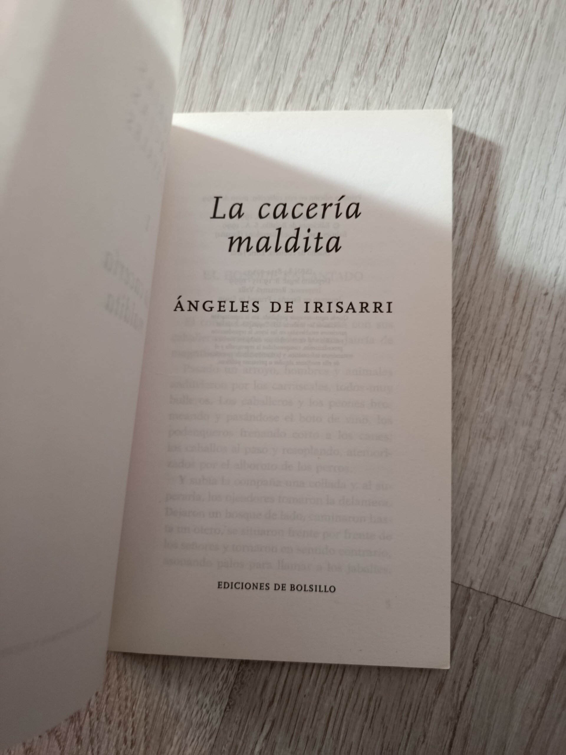 Historias de brujas medievales - La cacería maldita - 5