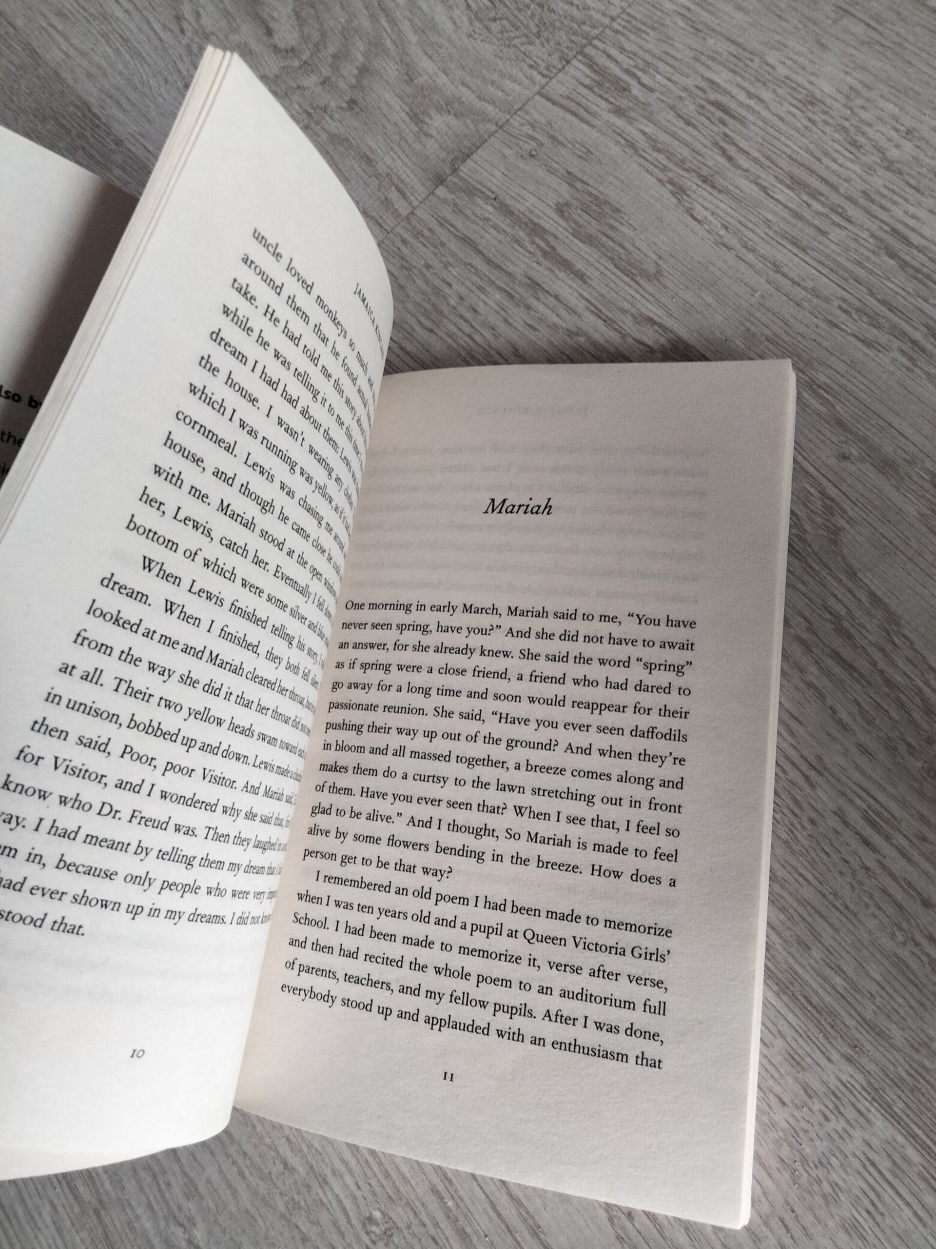 Lucy - Jamaica Kincaid (English) - 5