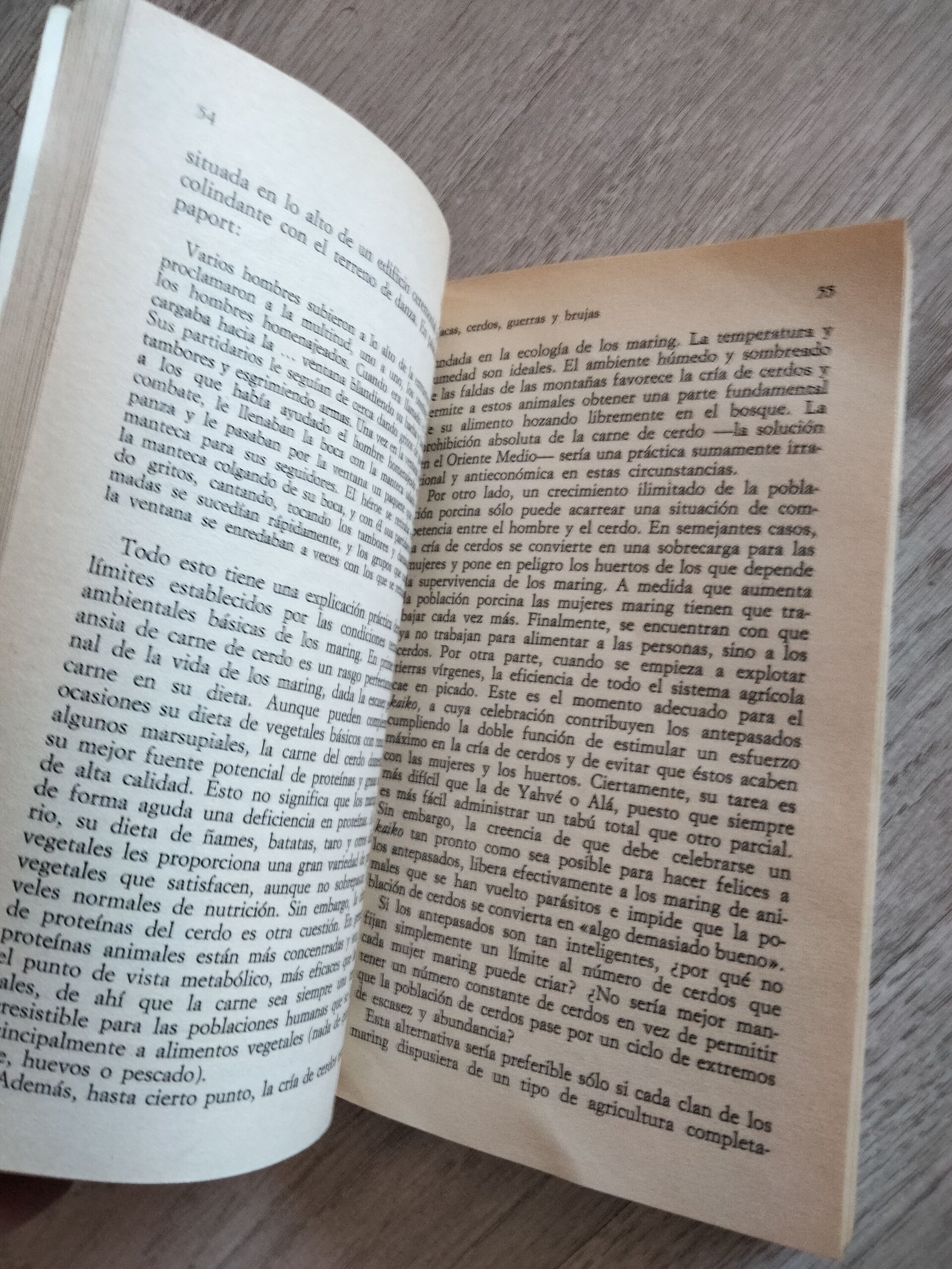 Vacas, cerdos, guerras y brujas - 4