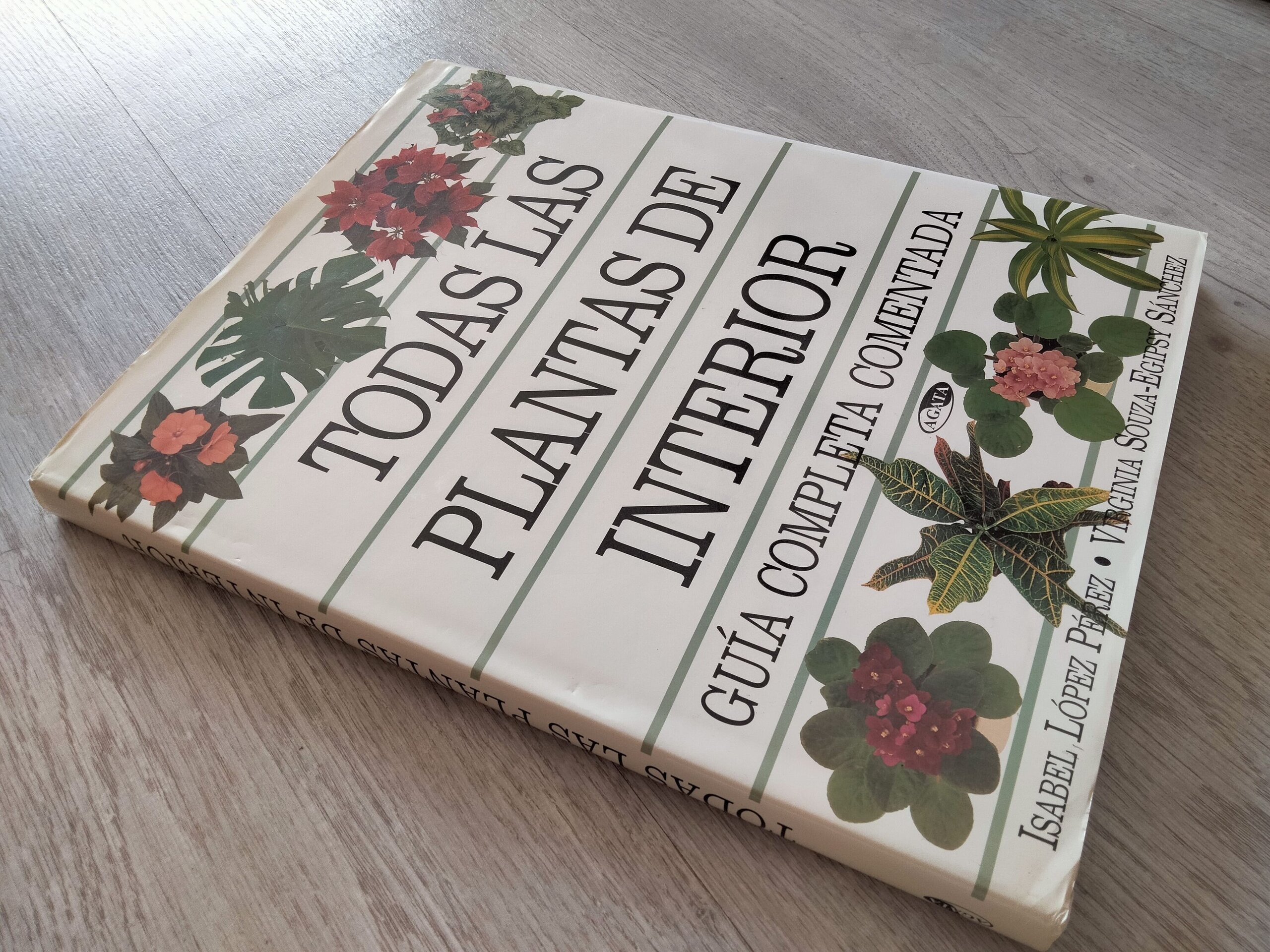 Todas las plantas de interior - libro - 3