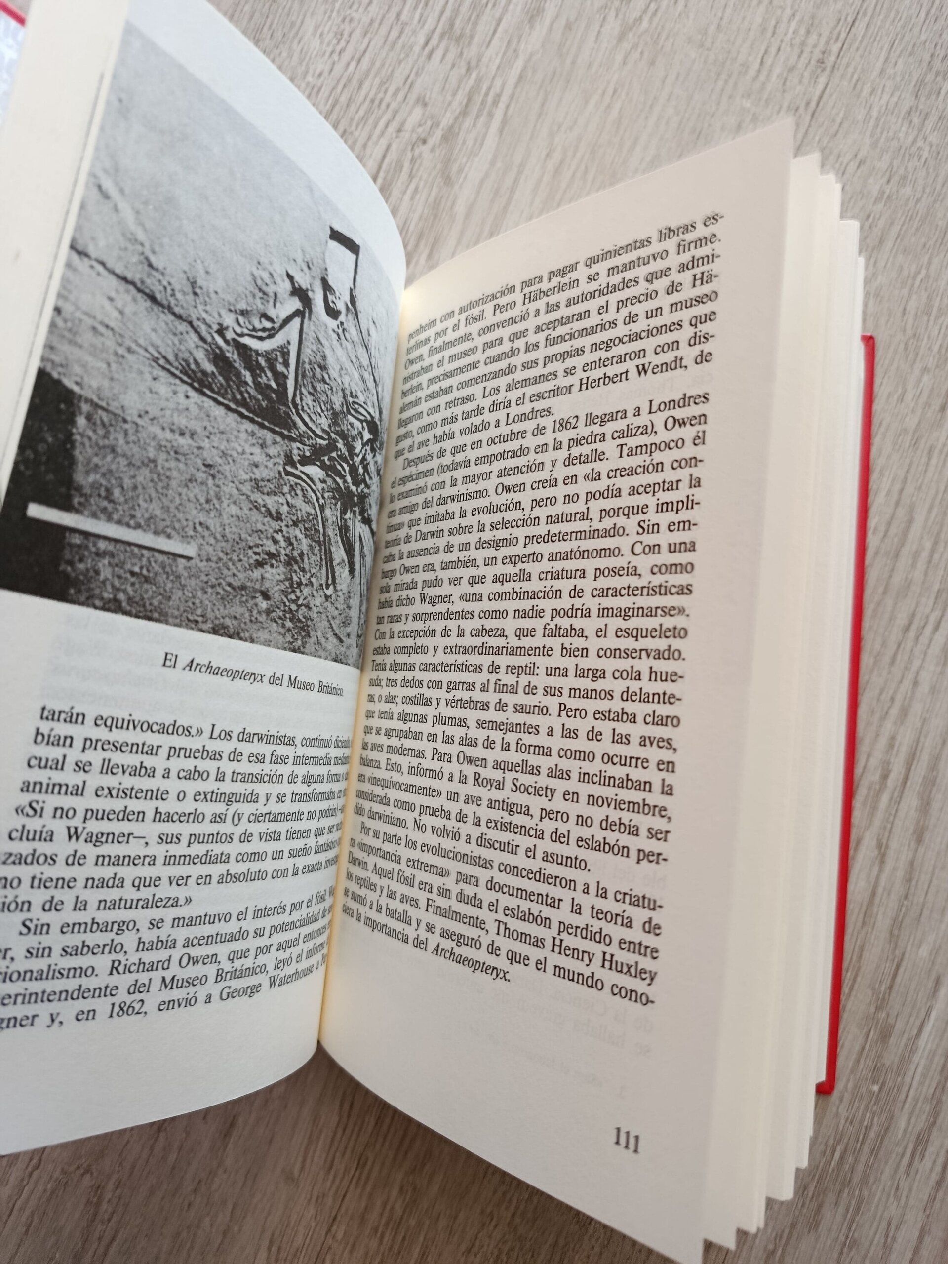 El enigma de los dinosaurios - 7