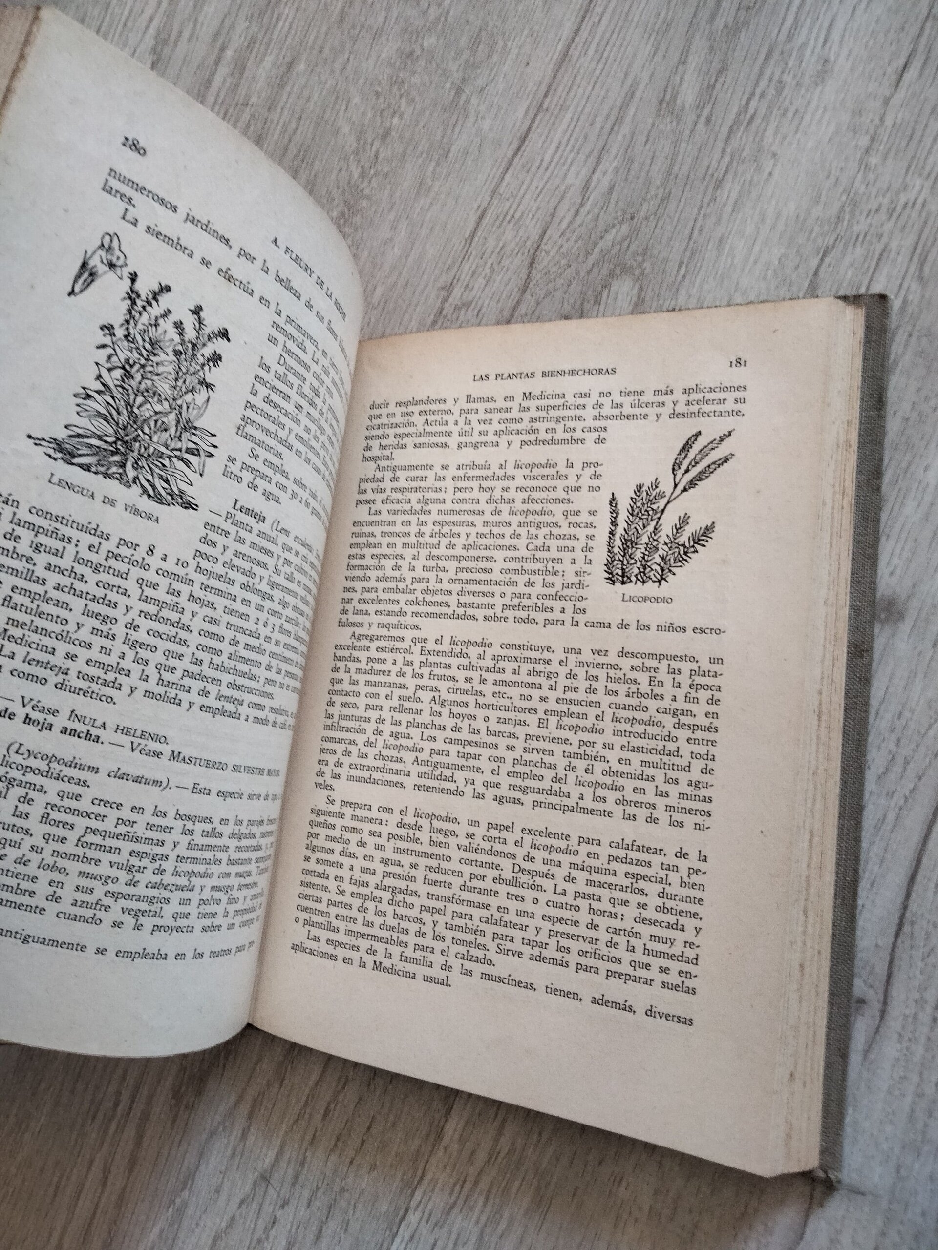 (1934) Las Plantas Bienhechoras - 10