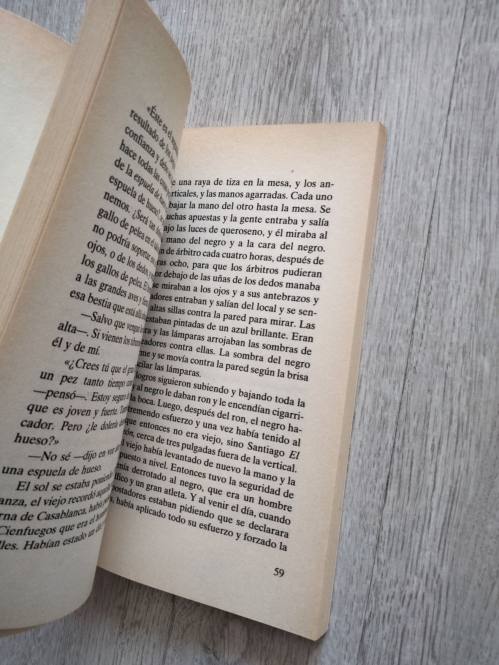 Hemingway - El viejo y el mar - libro - 7