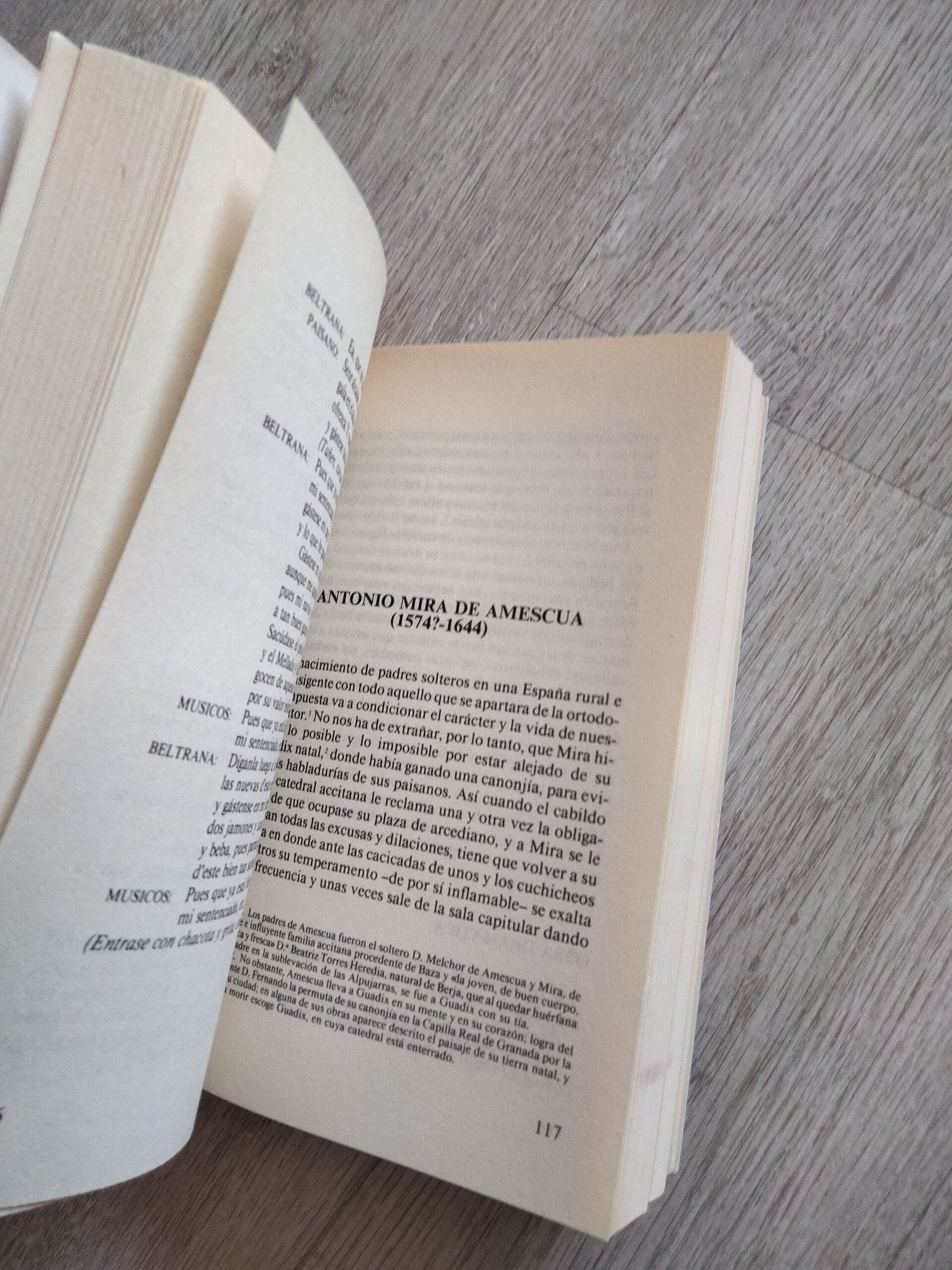 Dramaturgos andaluces del Siglo de Oro - libro - 7