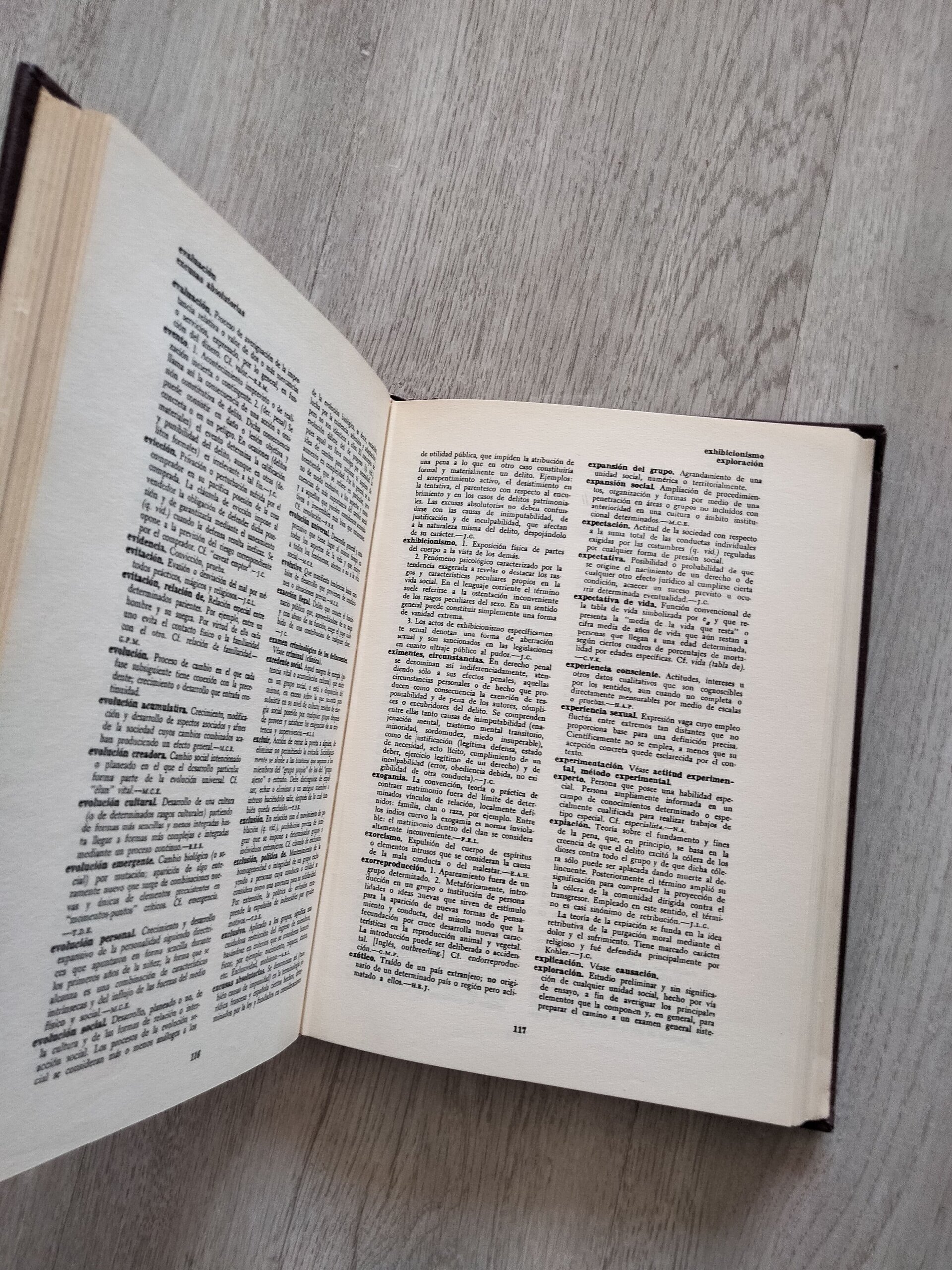 Diccionario de Sociología - libro - 7