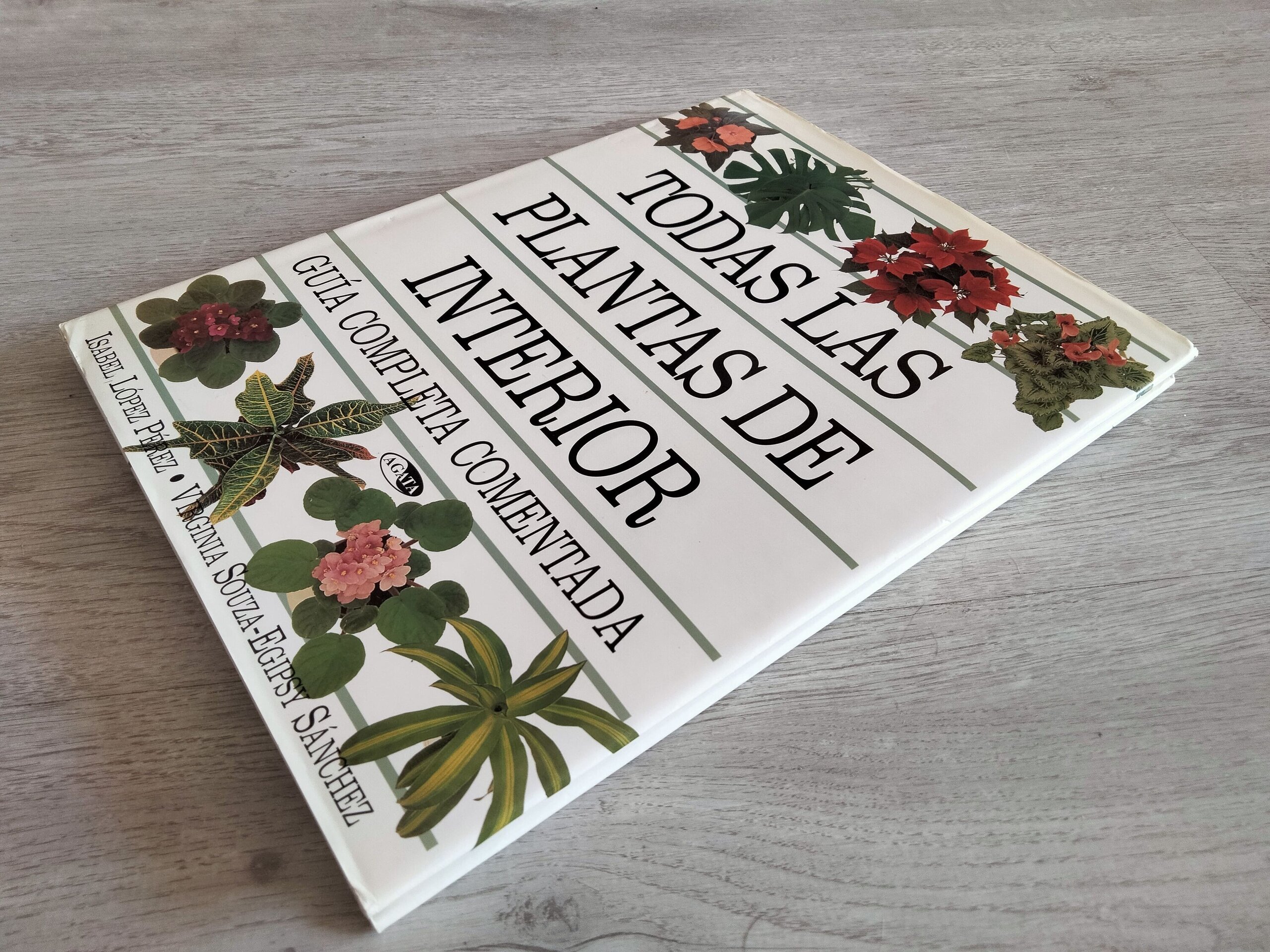 Todas las plantas de interior - libro - 2