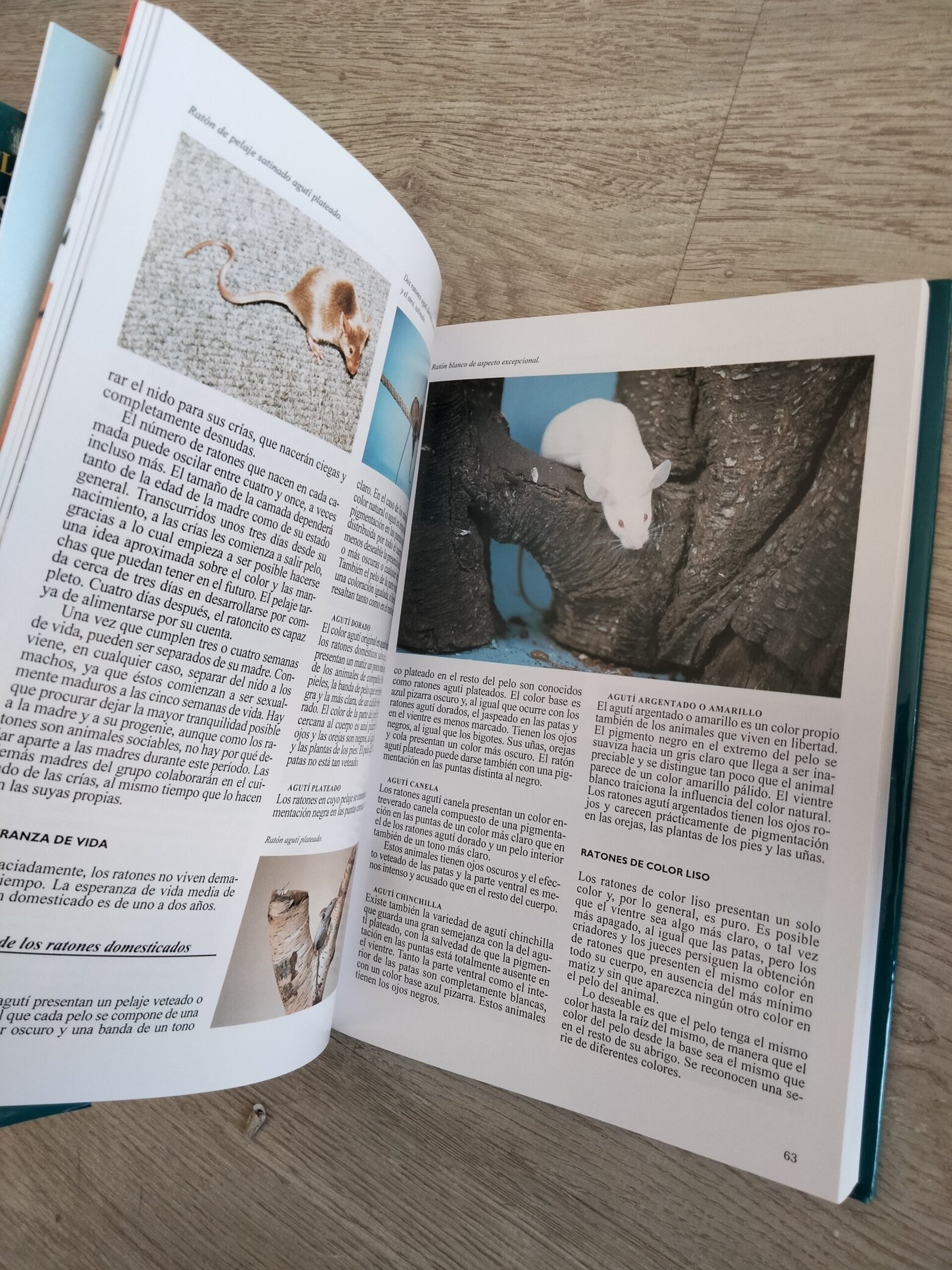 La enciclopedia de los conejos y roedores - 8
