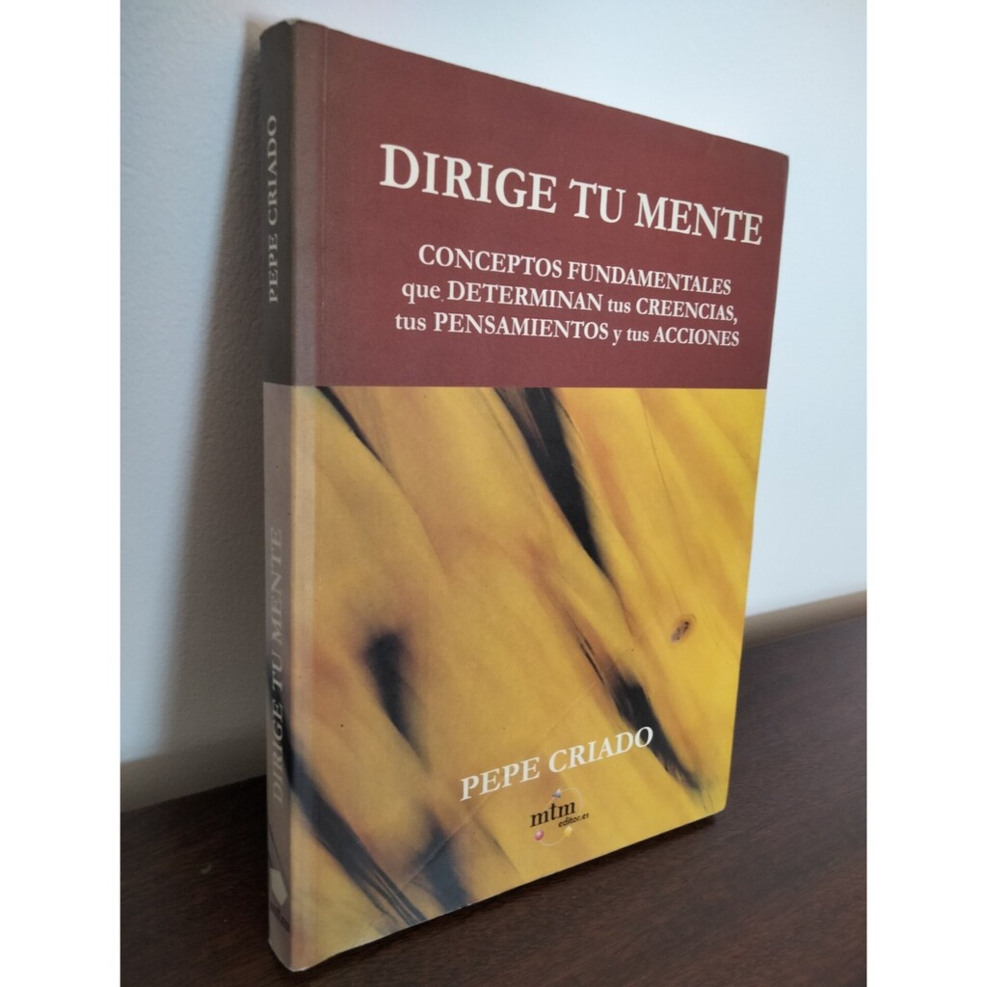 Pepe Criado - Dirige tu mente - 2