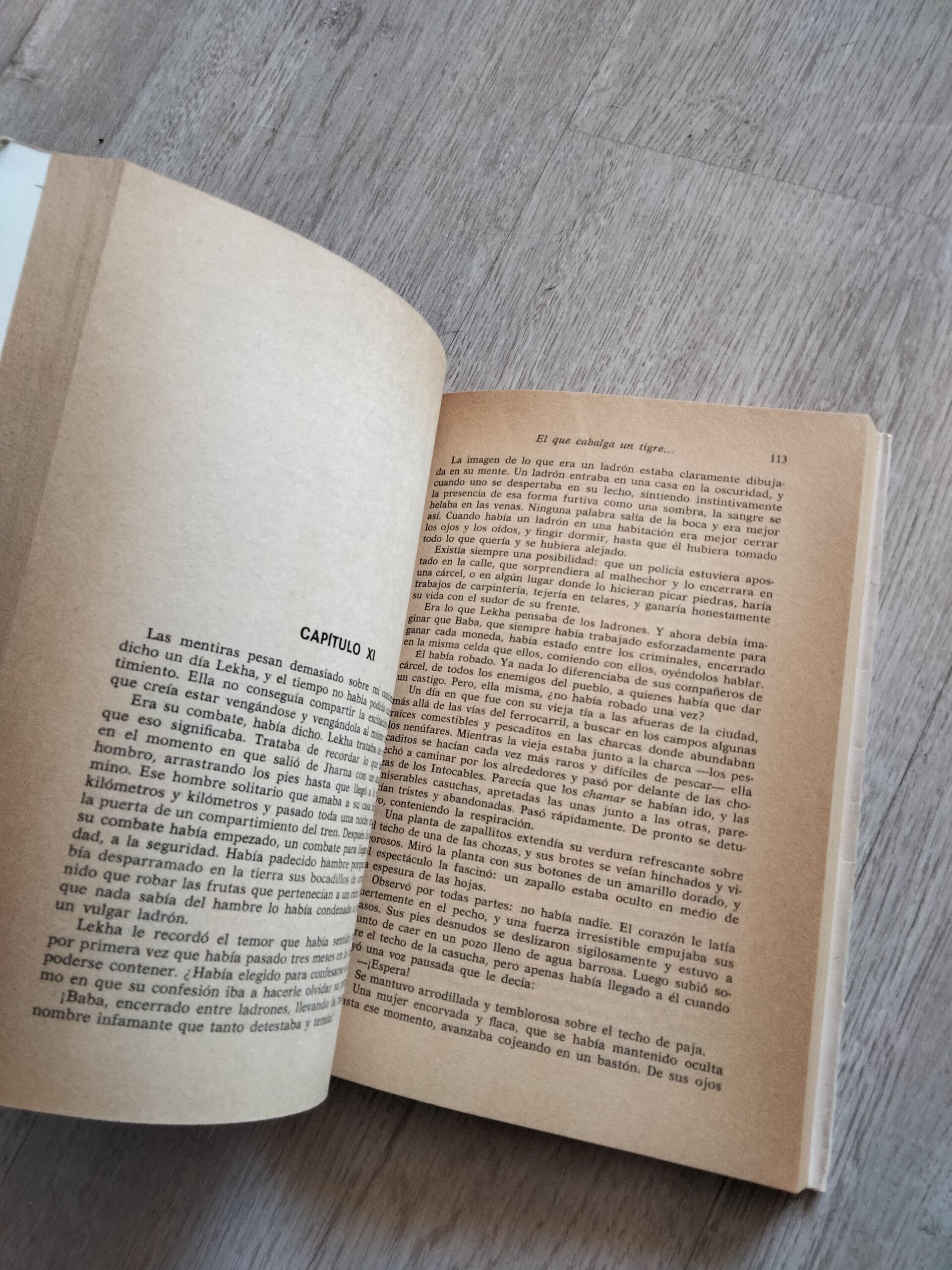 El que cabalga un tigre - libro - 7