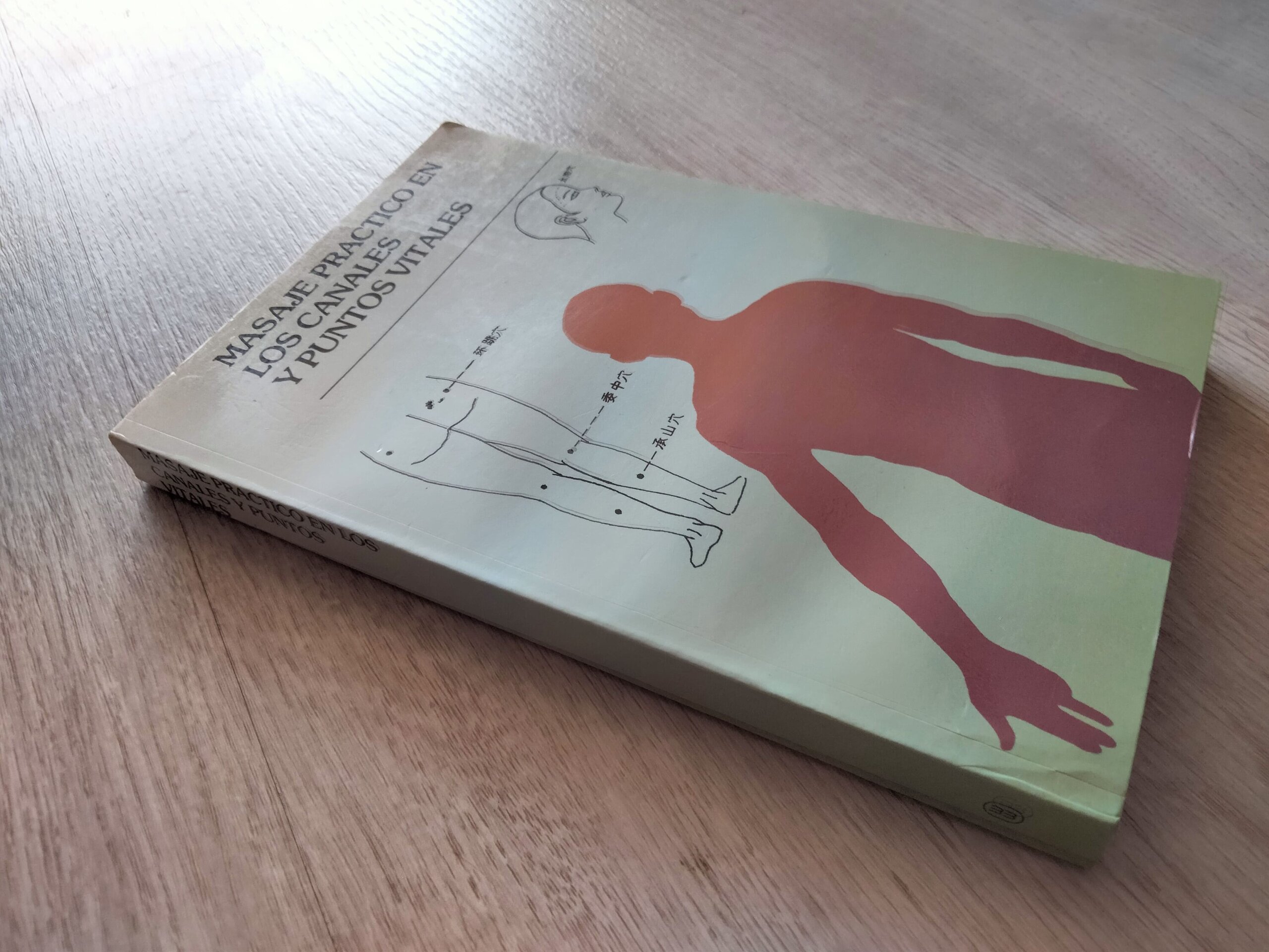 Masaje práctico en canales y puntos vitales - libro - 3