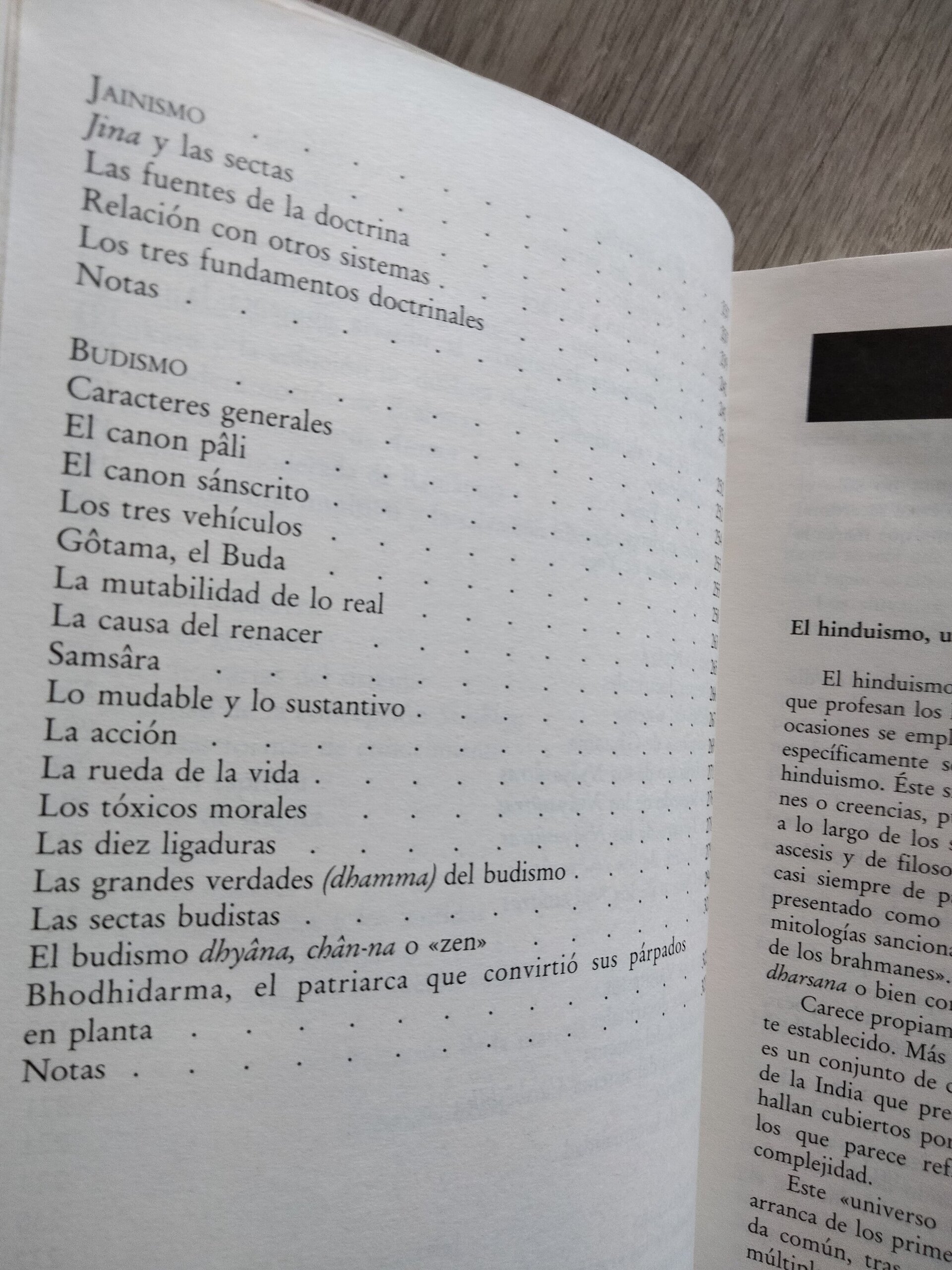 Dioses, ideas y símbolos de la India - 8