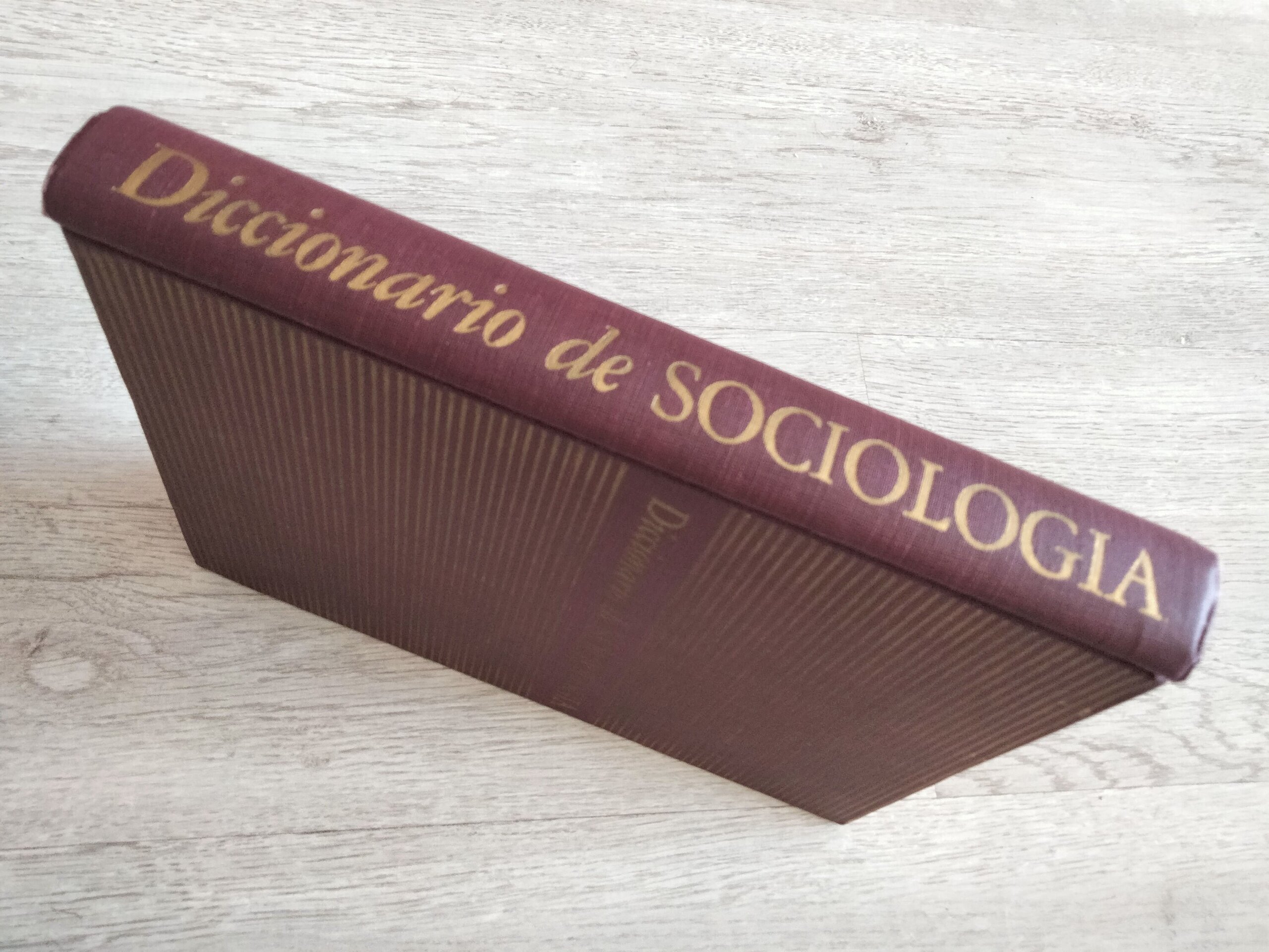 Diccionario de Sociología - libro - 3