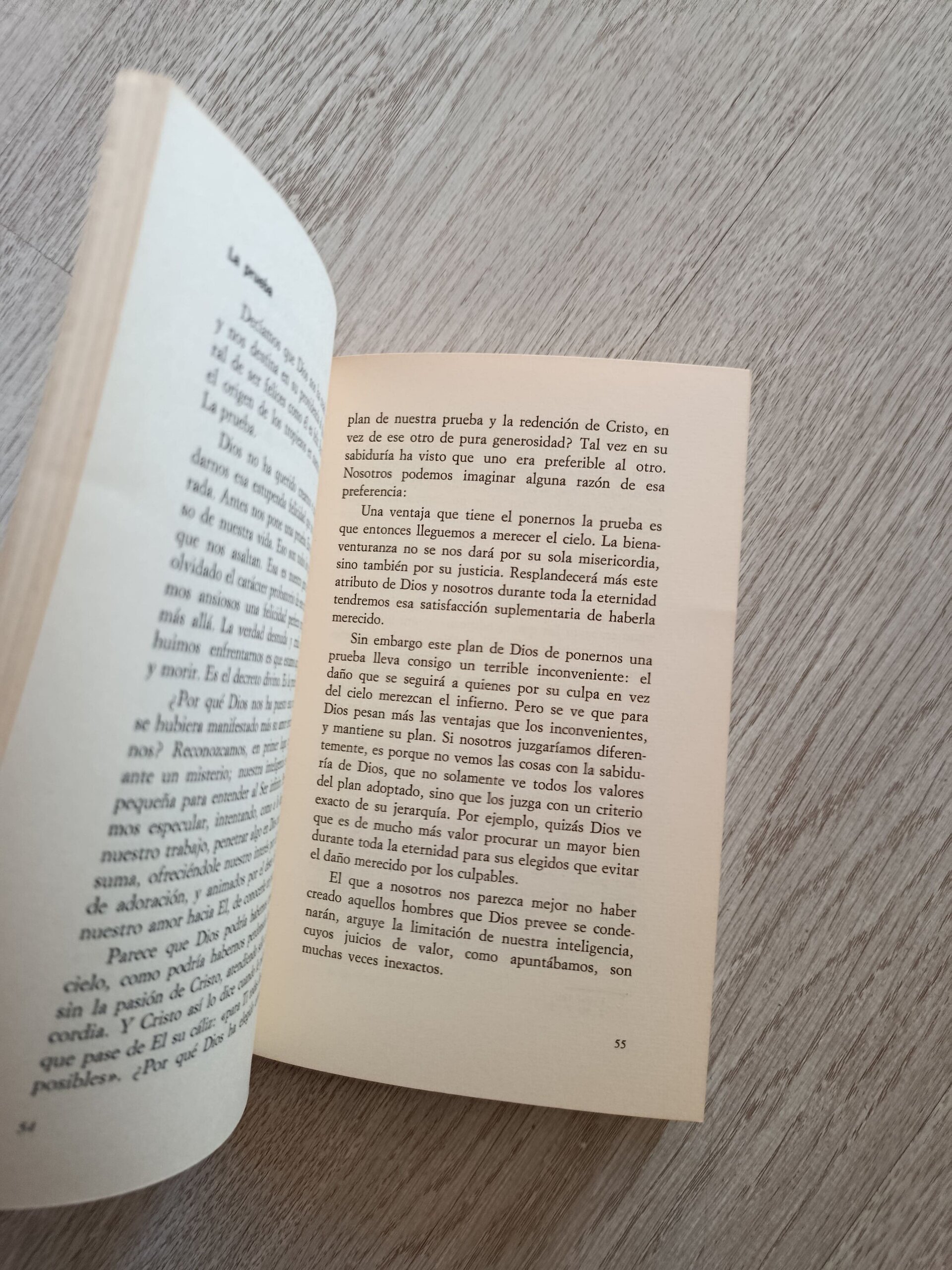 Teología para el hombre culto - Algo sobre Dios - 8