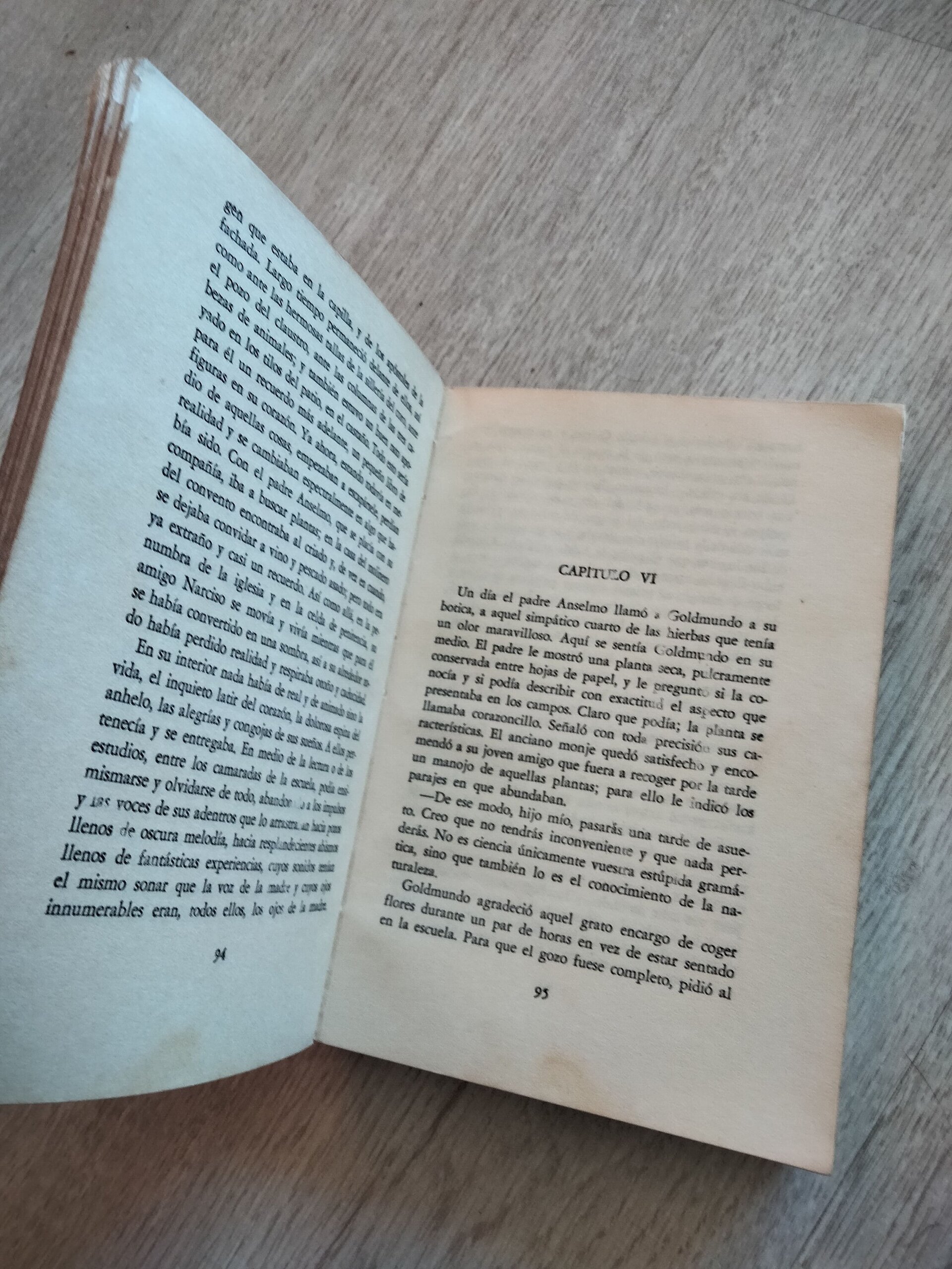 Hermann Hesse - Narciso y Goldmundo - 5