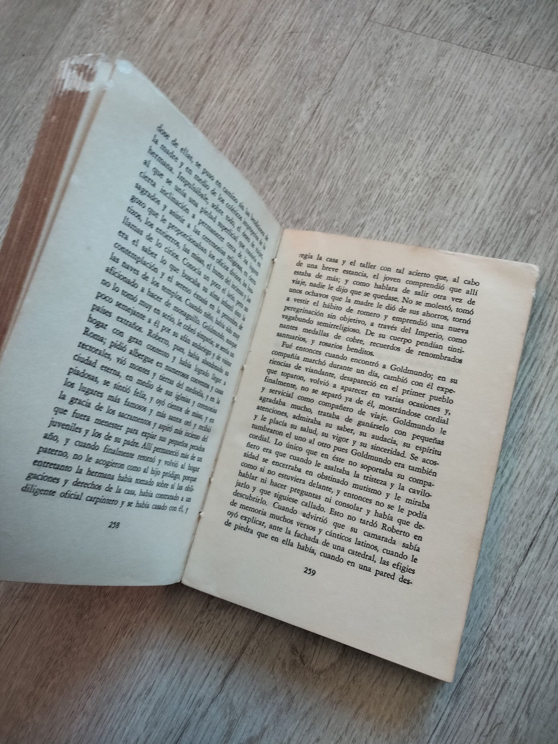 Hermann Hesse - Narciso y Goldmundo - 6