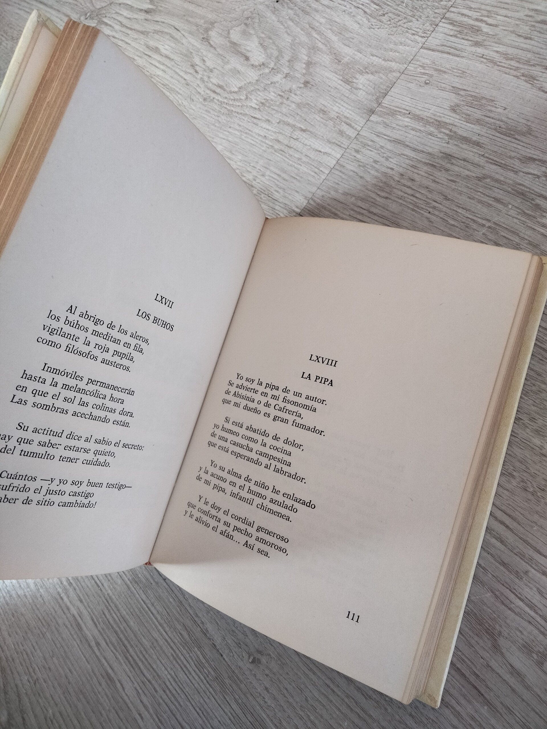 Baudelaire - Las Flores del Mal - 5