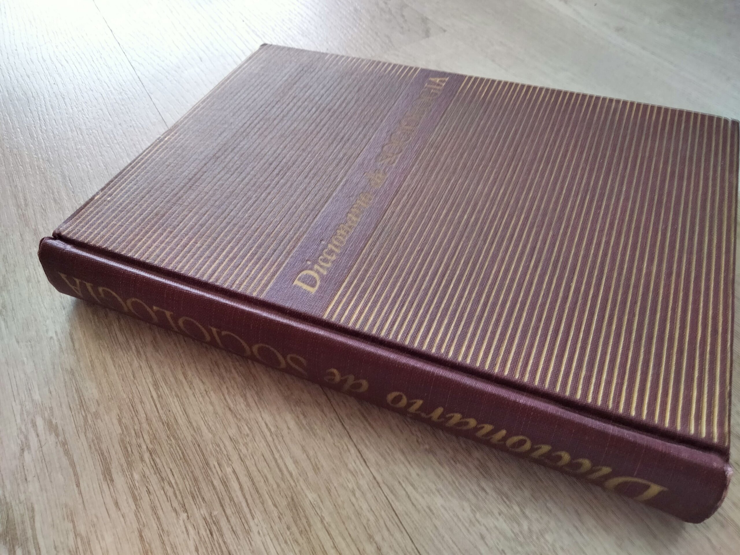 Diccionario de Sociología - libro - 4