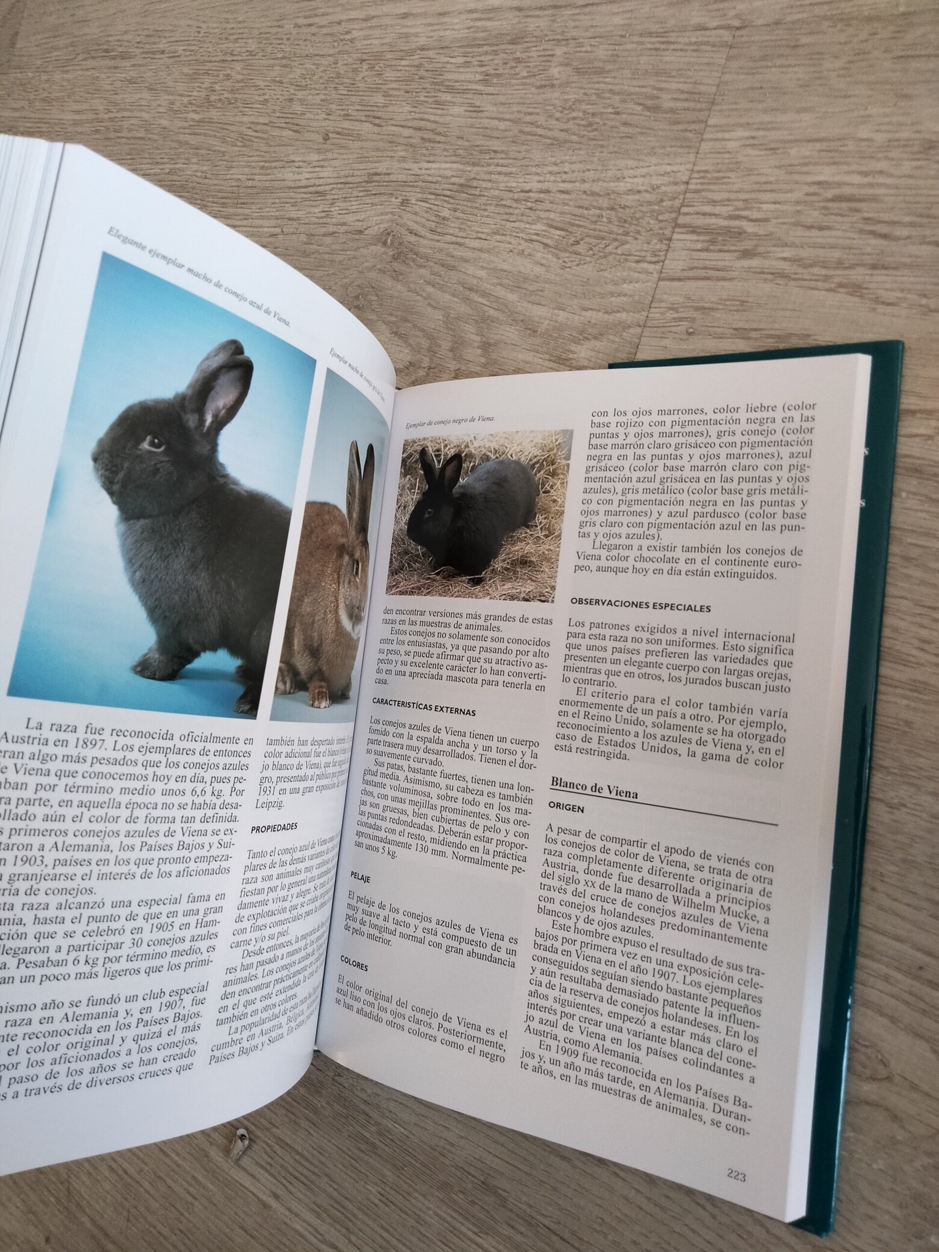 La enciclopedia de los conejos y roedores - 9