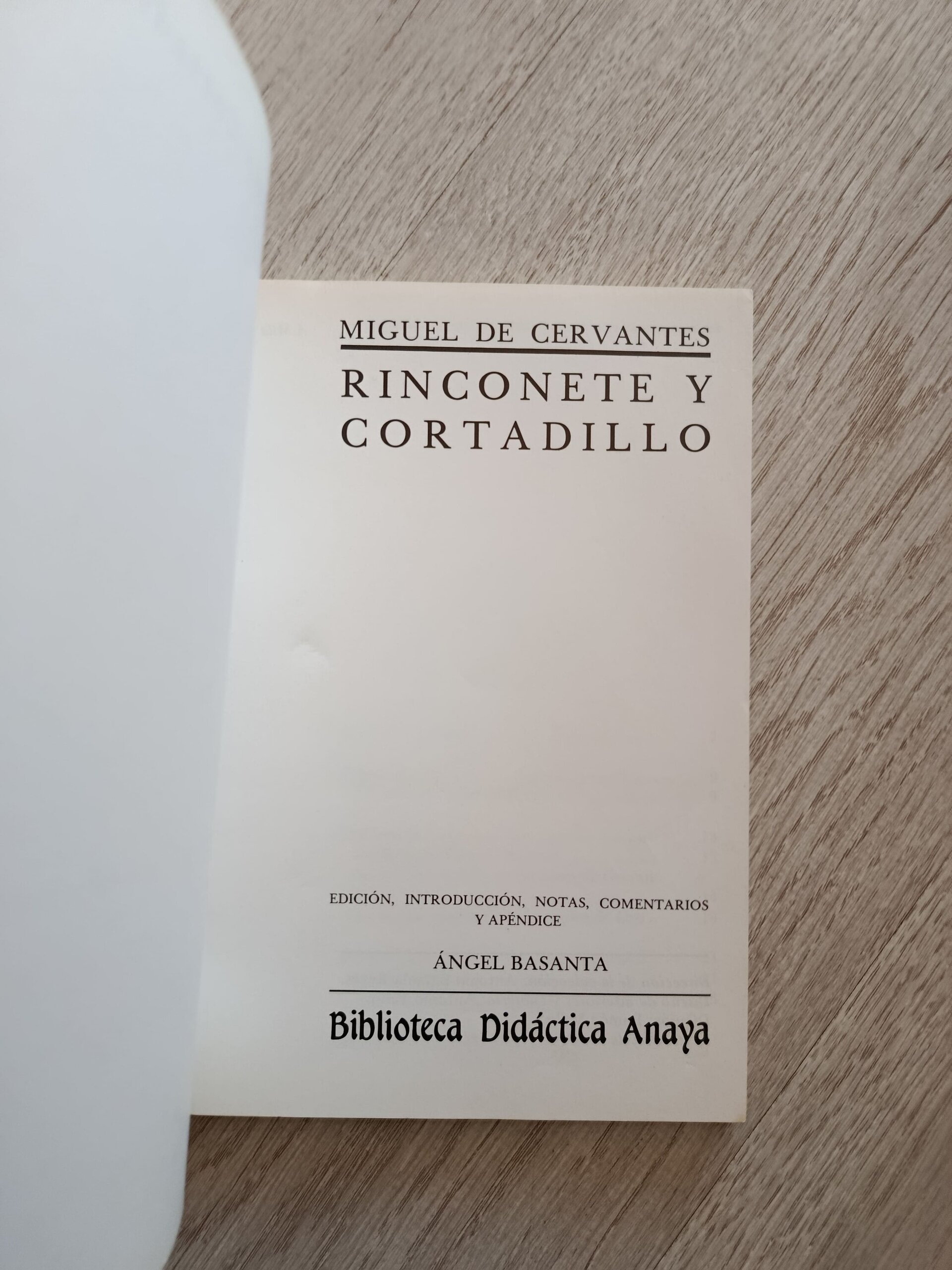 Cervantes - Rinconete y Cortadillo - 5