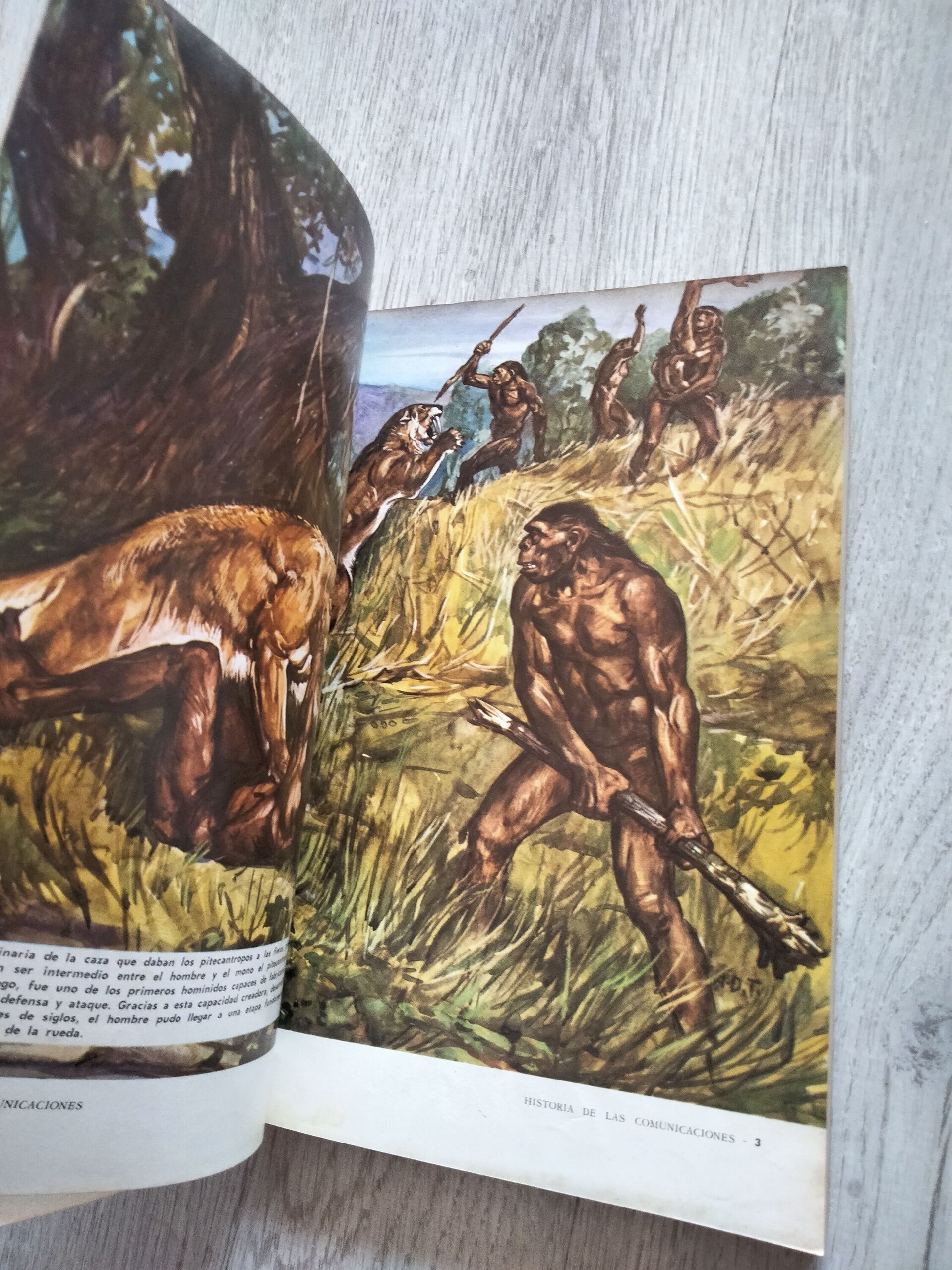 Historia de los Transportes Terrestres - 4