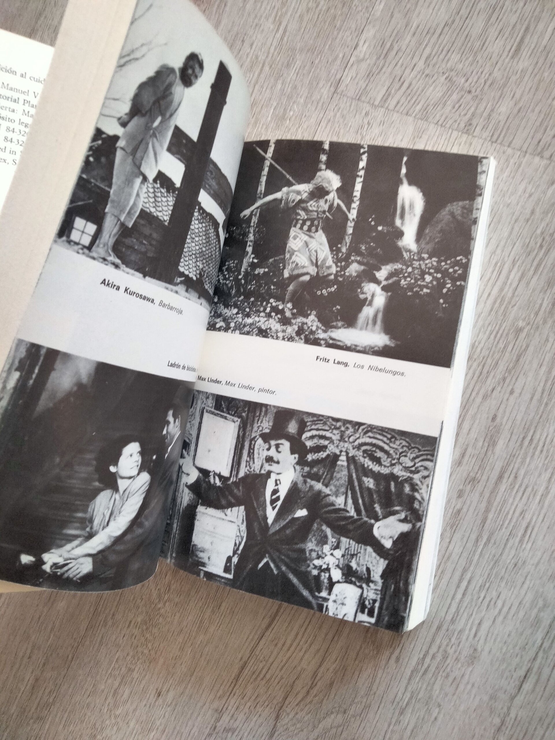 Los Grandes Nombres del Cine - libro - 8