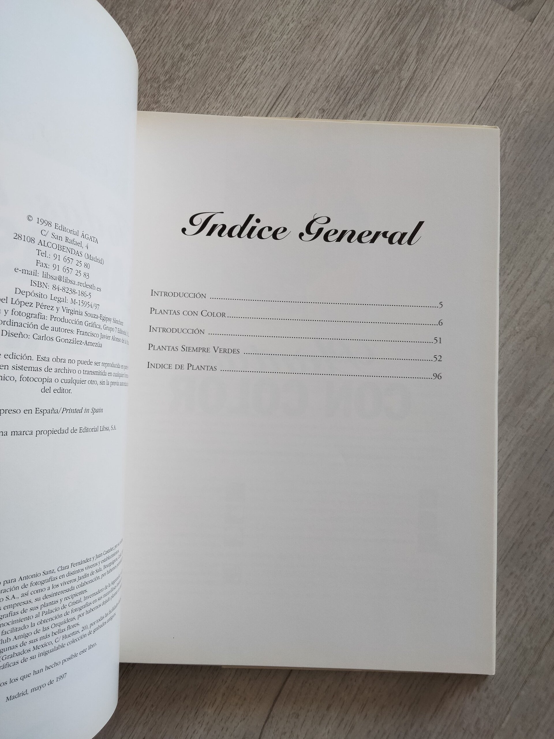 Todas las plantas de interior - libro - 7