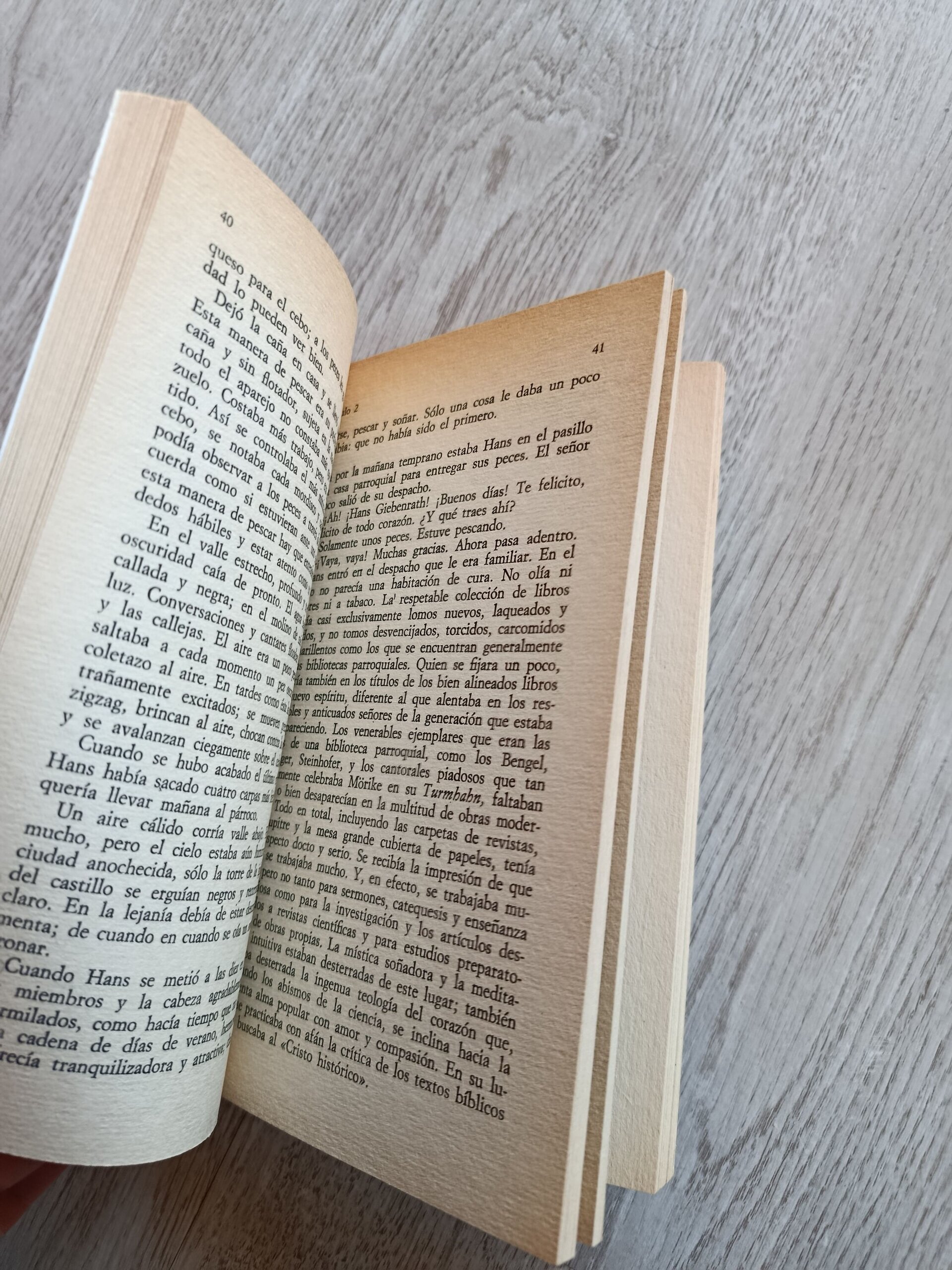 Hermann Hesse - Bajo las ruedas - 3