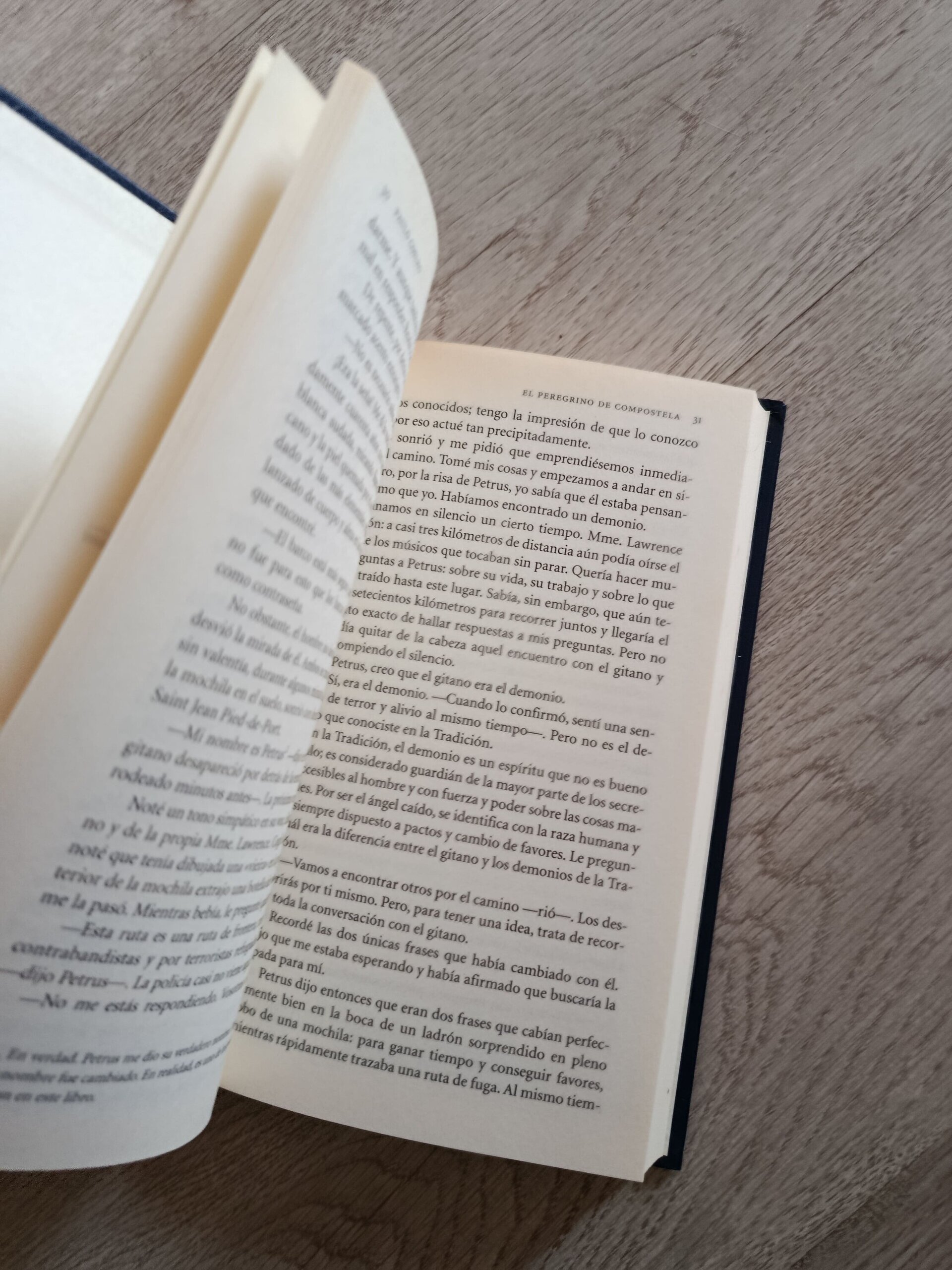 Paulo Coelho - El peregrino de Compostela - 4