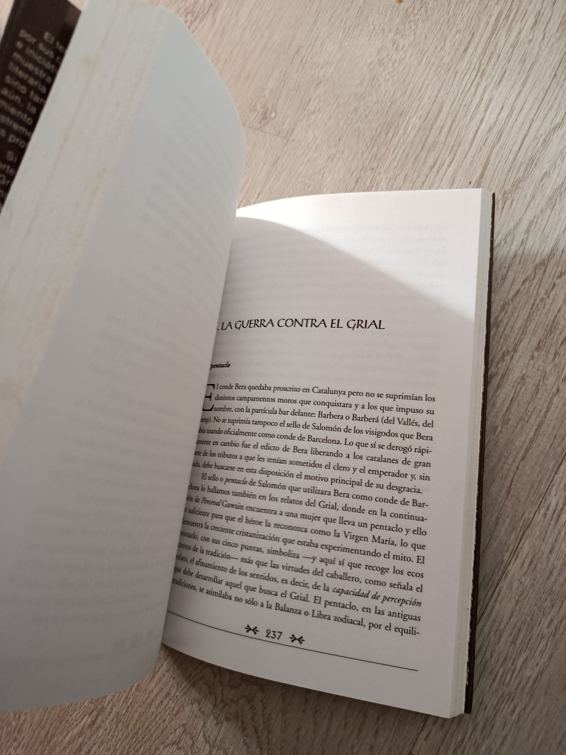 Historia secreta del Grial - 11