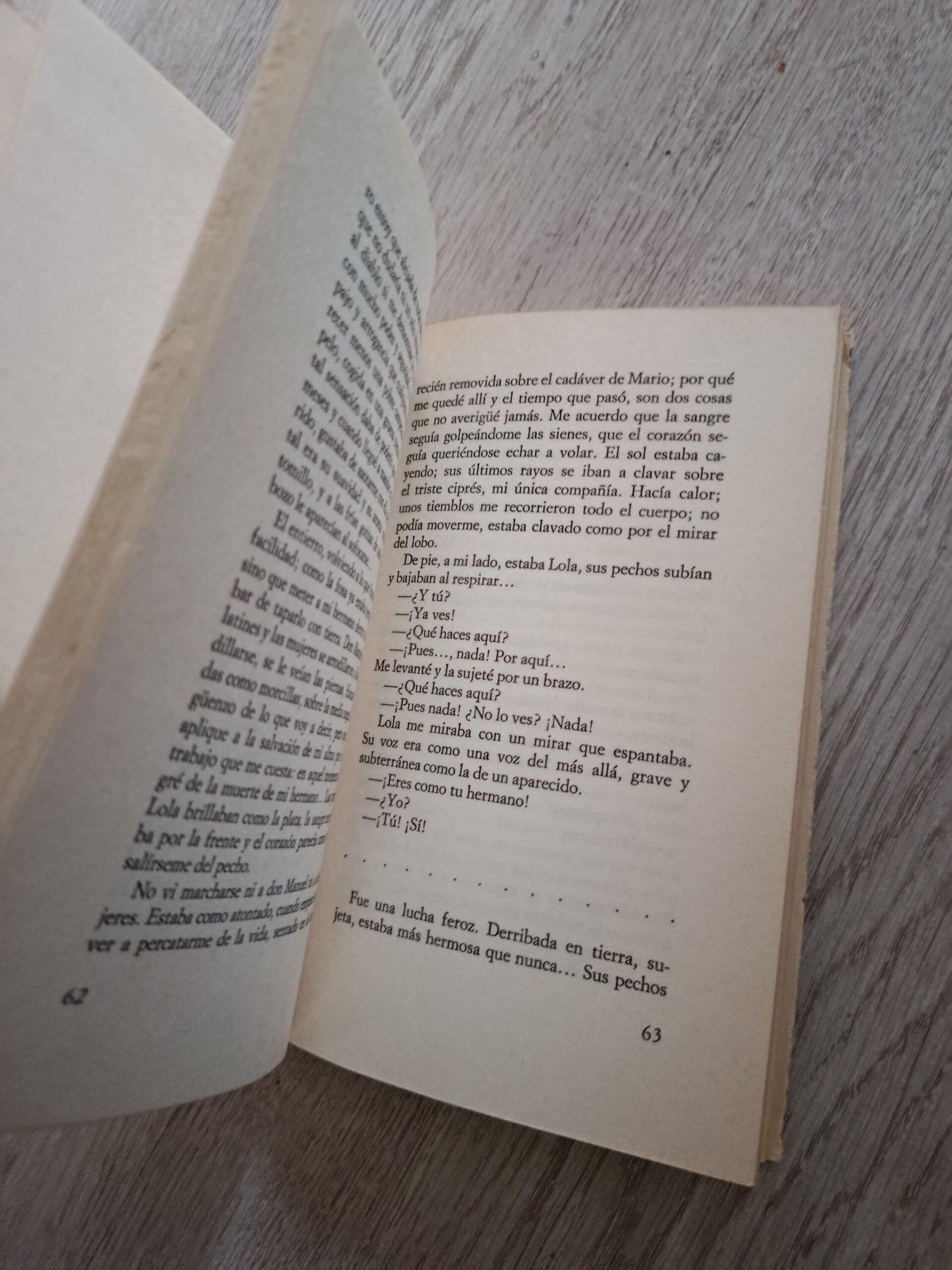 La Familia de Pascual Duarte - Camilo José Cela - 4