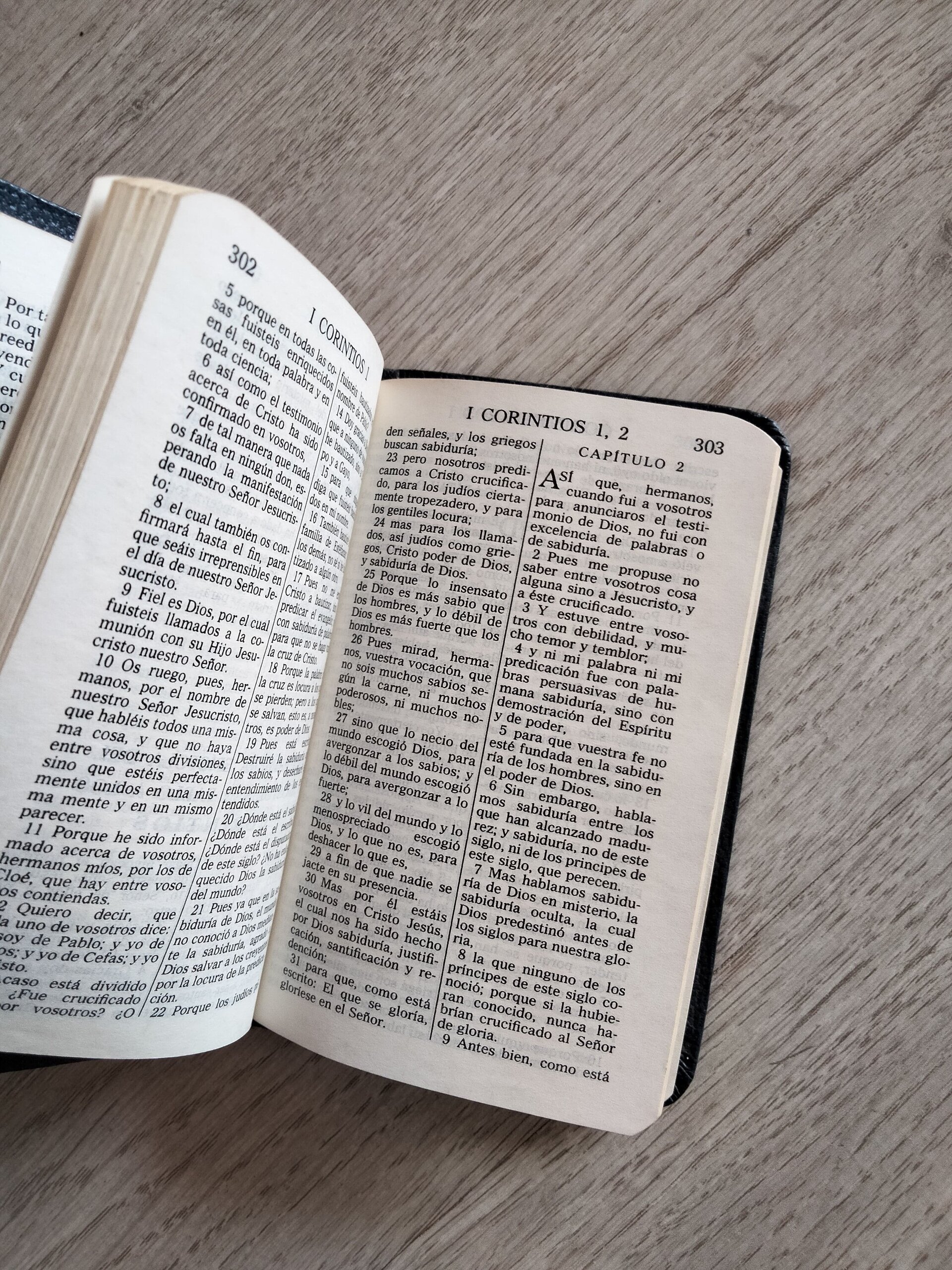 Nuevo Testamento y Salmos y Proverbios - 4