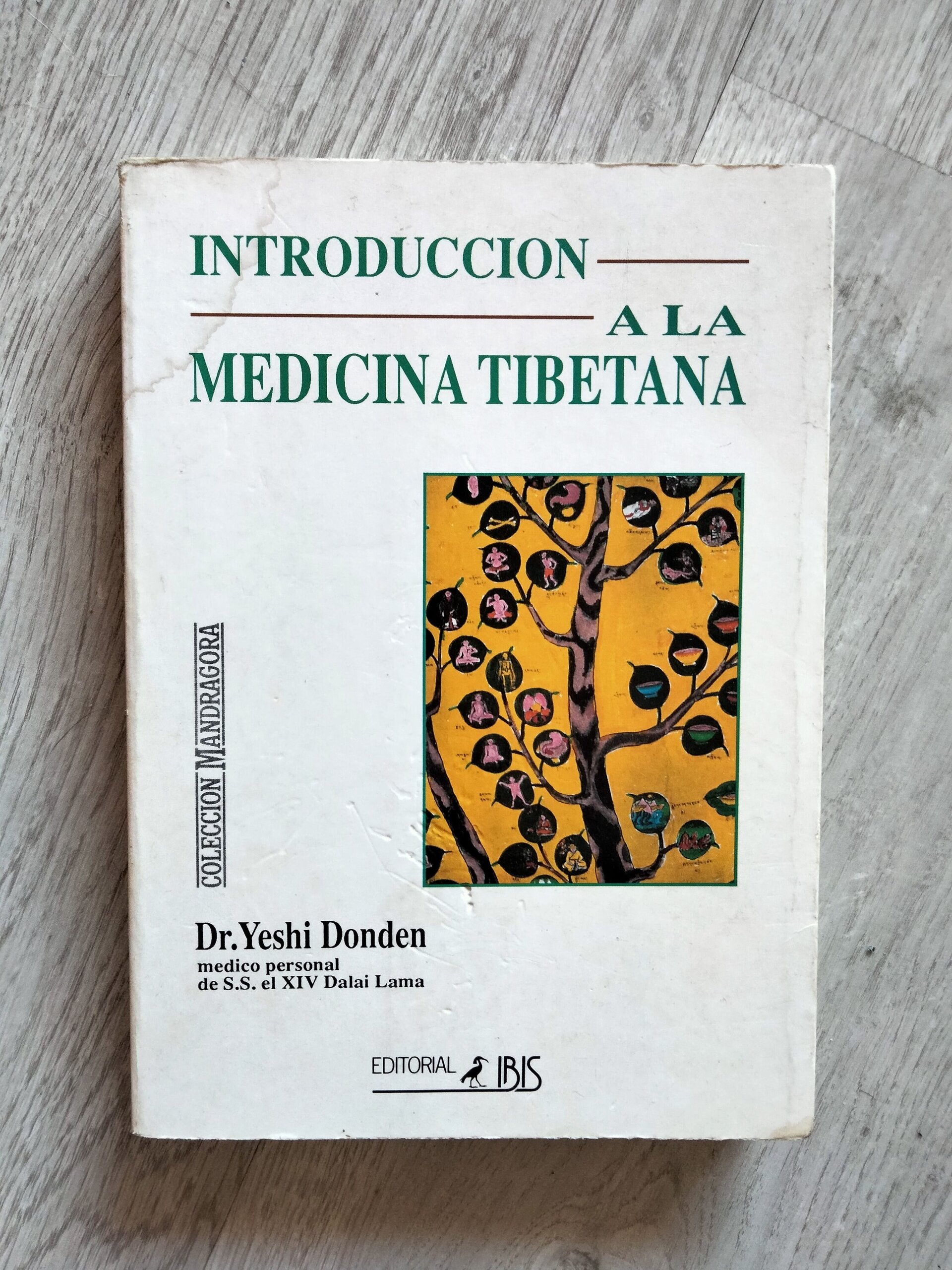 Introducción a la medicina tibetana - 1
