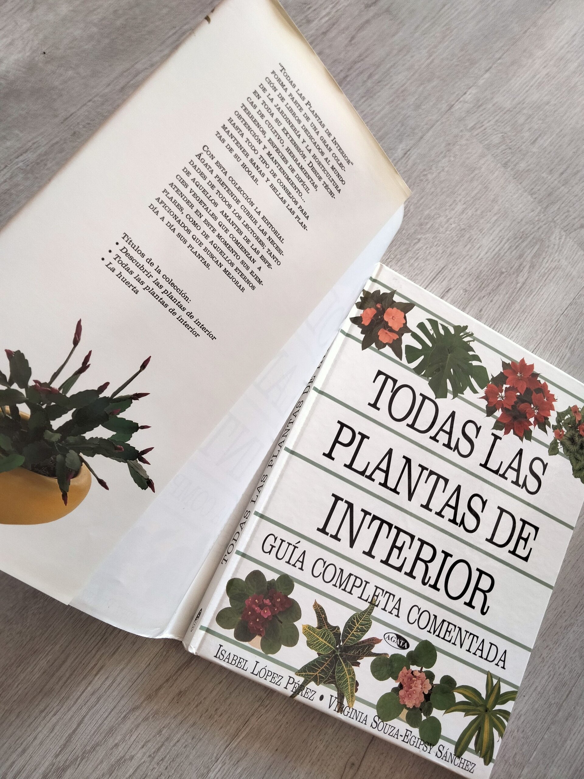 Todas las plantas de interior - libro - 4
