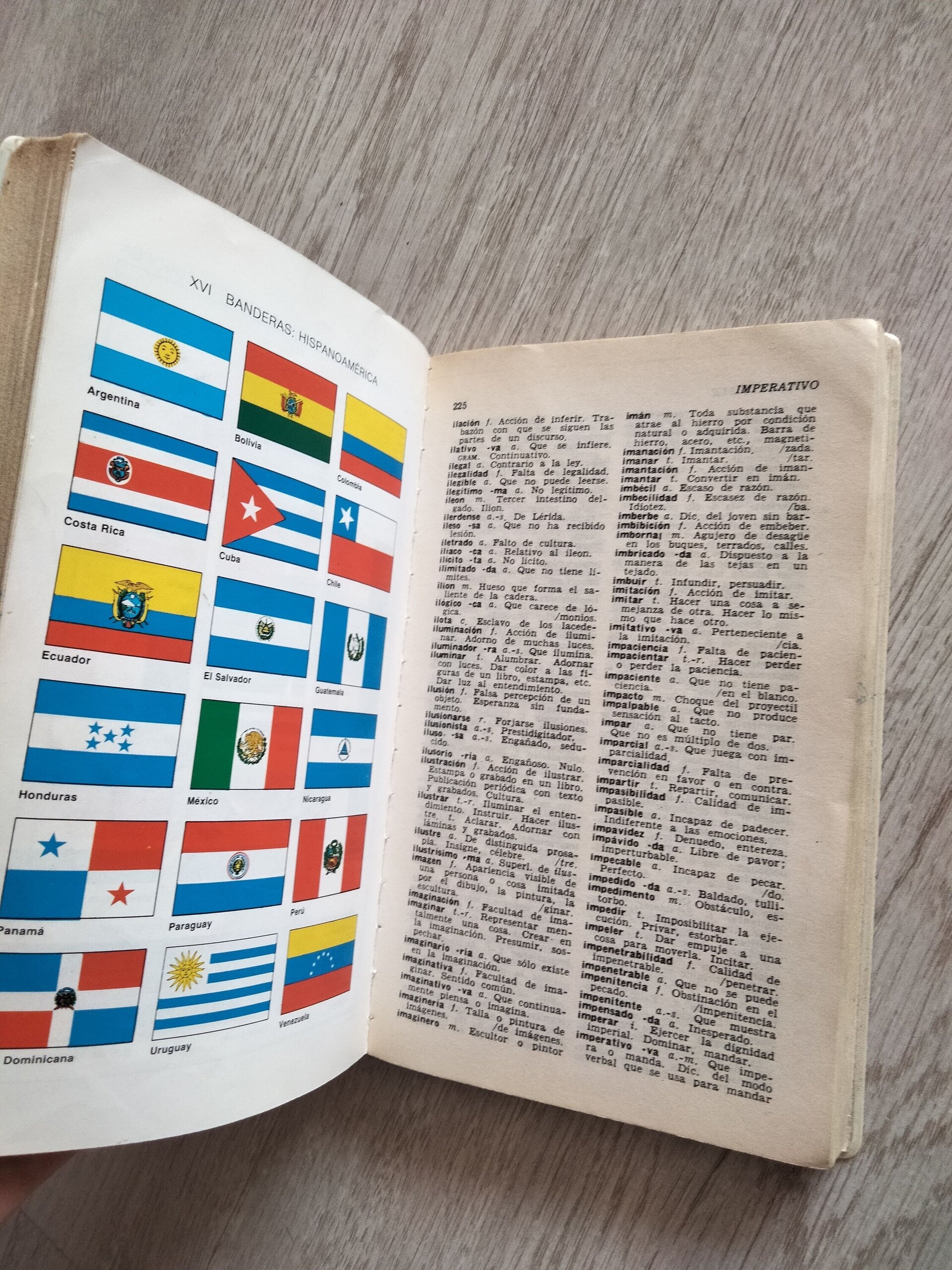 Diccionario esencial de la Lengua Española VOX - 4